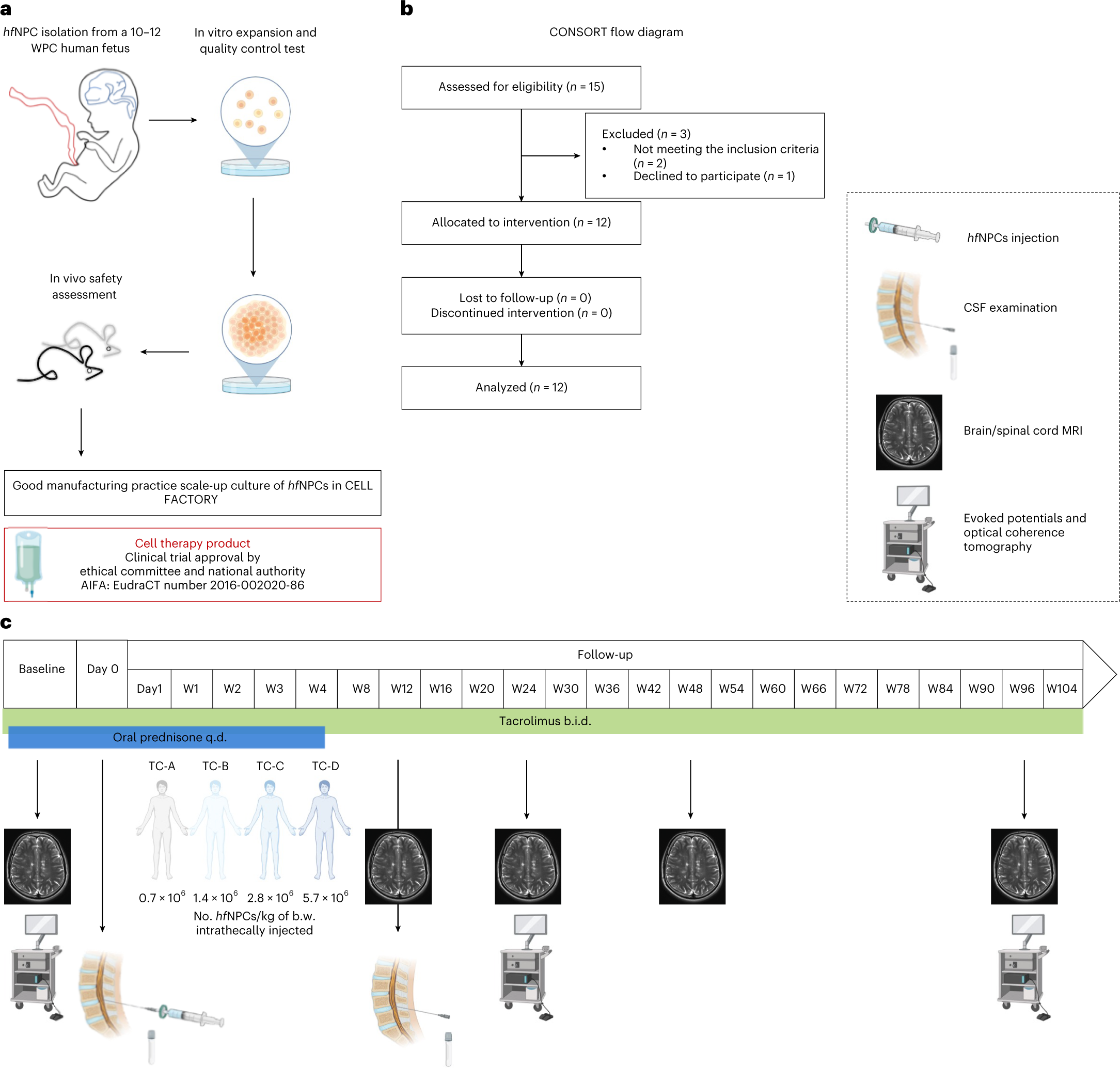 Clinical study design and organization. (A) Consort diagram. (B) Study