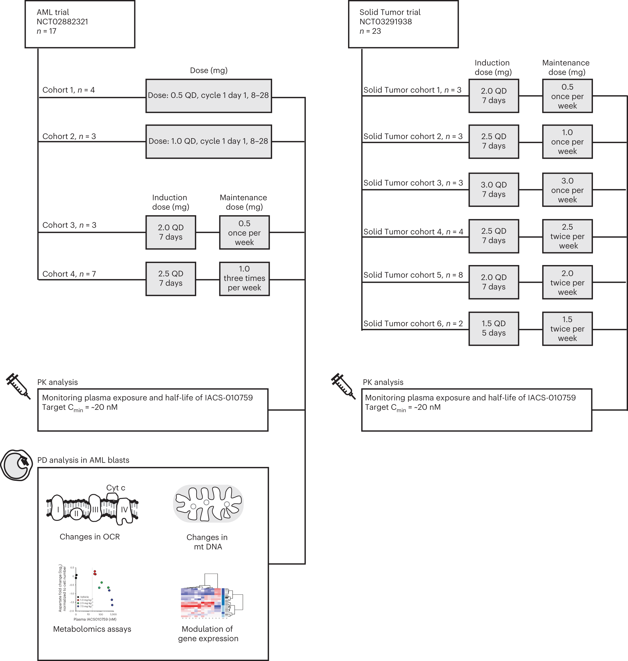 Complex I inhibitor of oxidative phosphorylation in advanced solid tumors  and acute myeloid leukemia: phase I trials | Nature Medicine