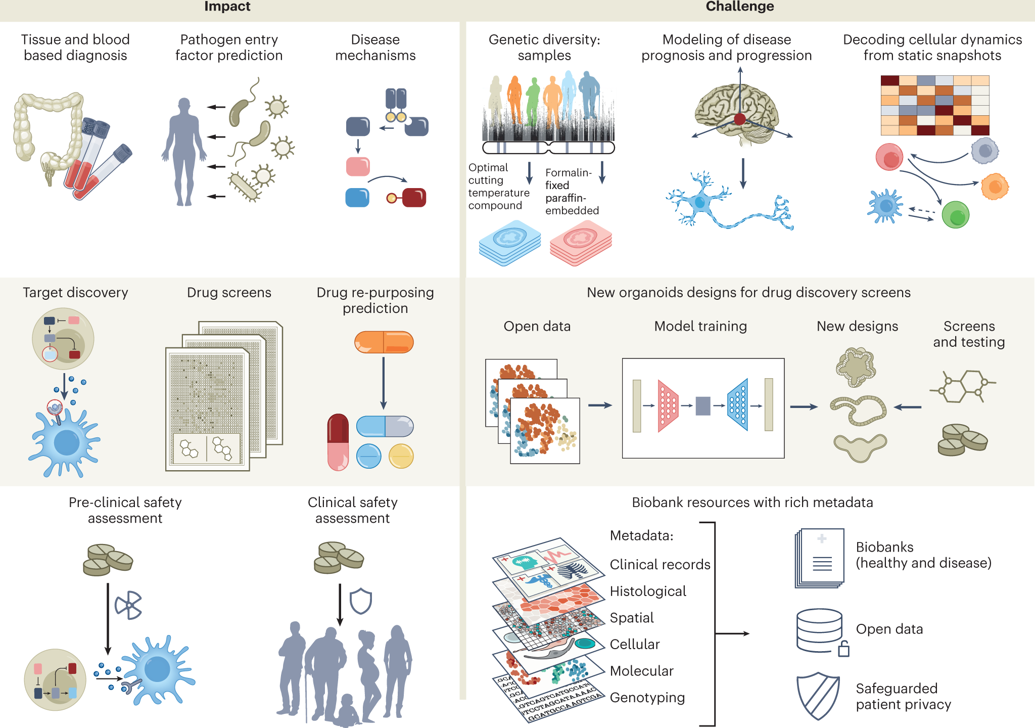 Research Uncovers a Missing Link in Crohn's Disease Treatment