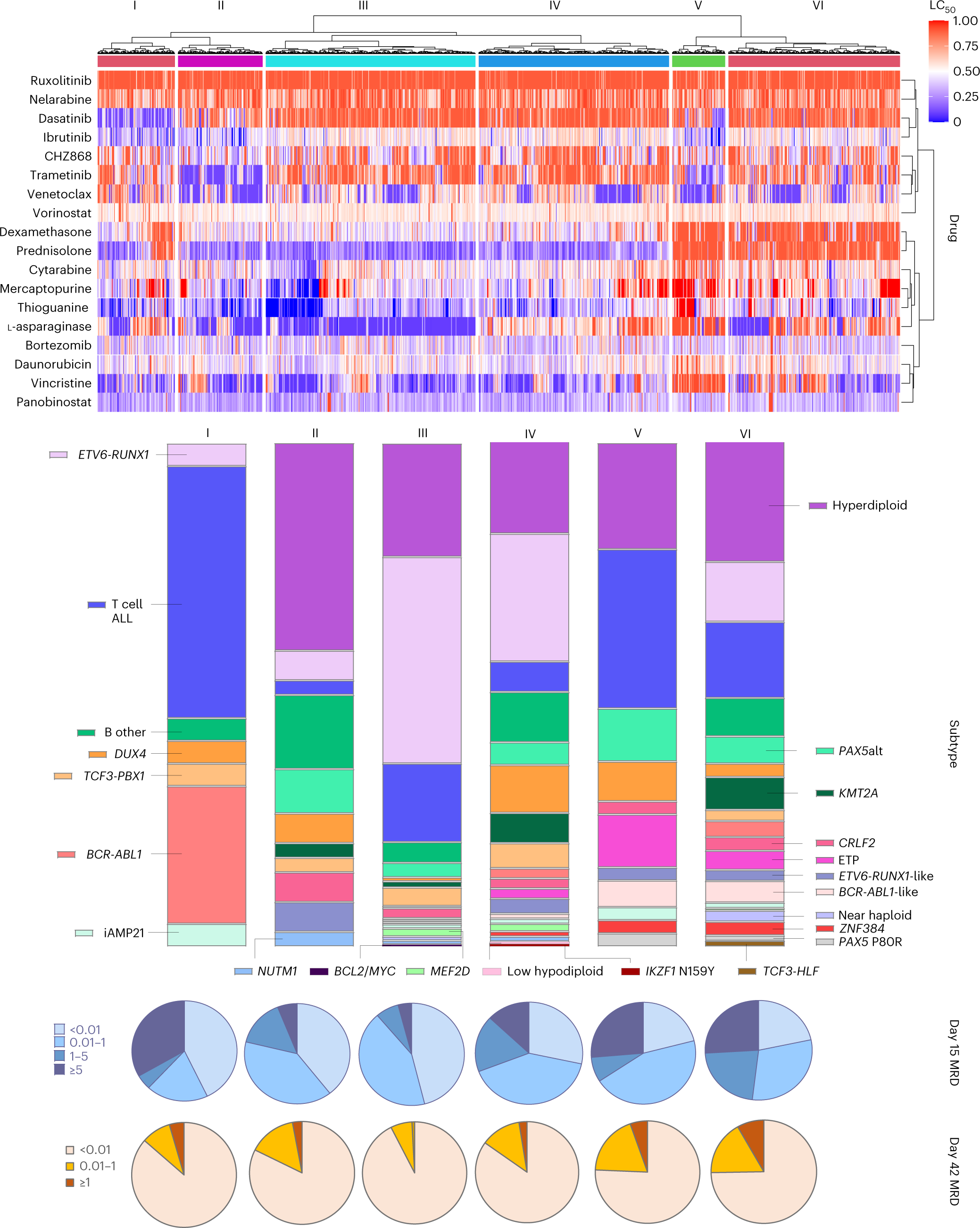 Fig. 4: Drug sensitivity profile defines distinct ALL patient clusters.