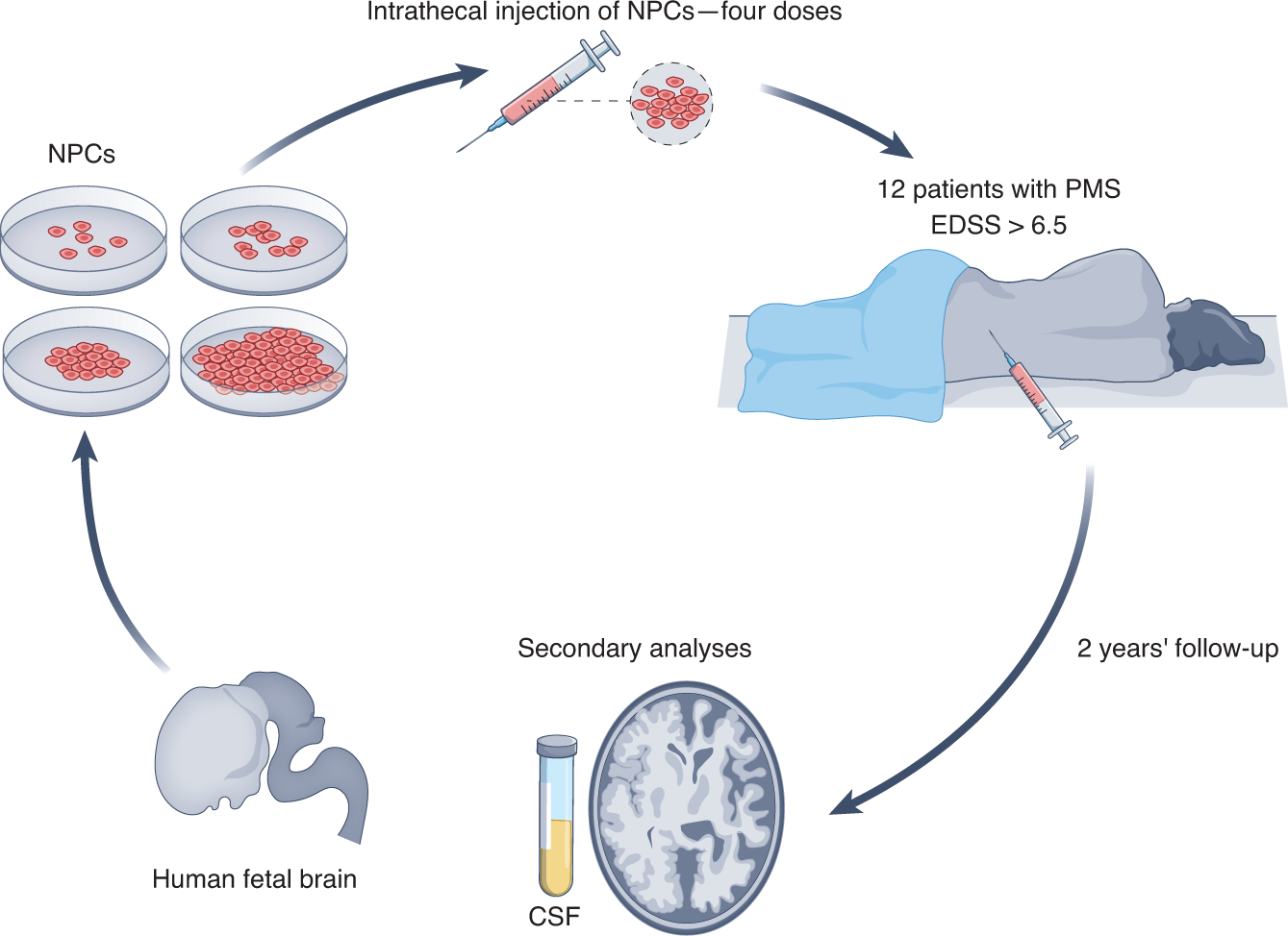 Stem Cell Therapy Denver