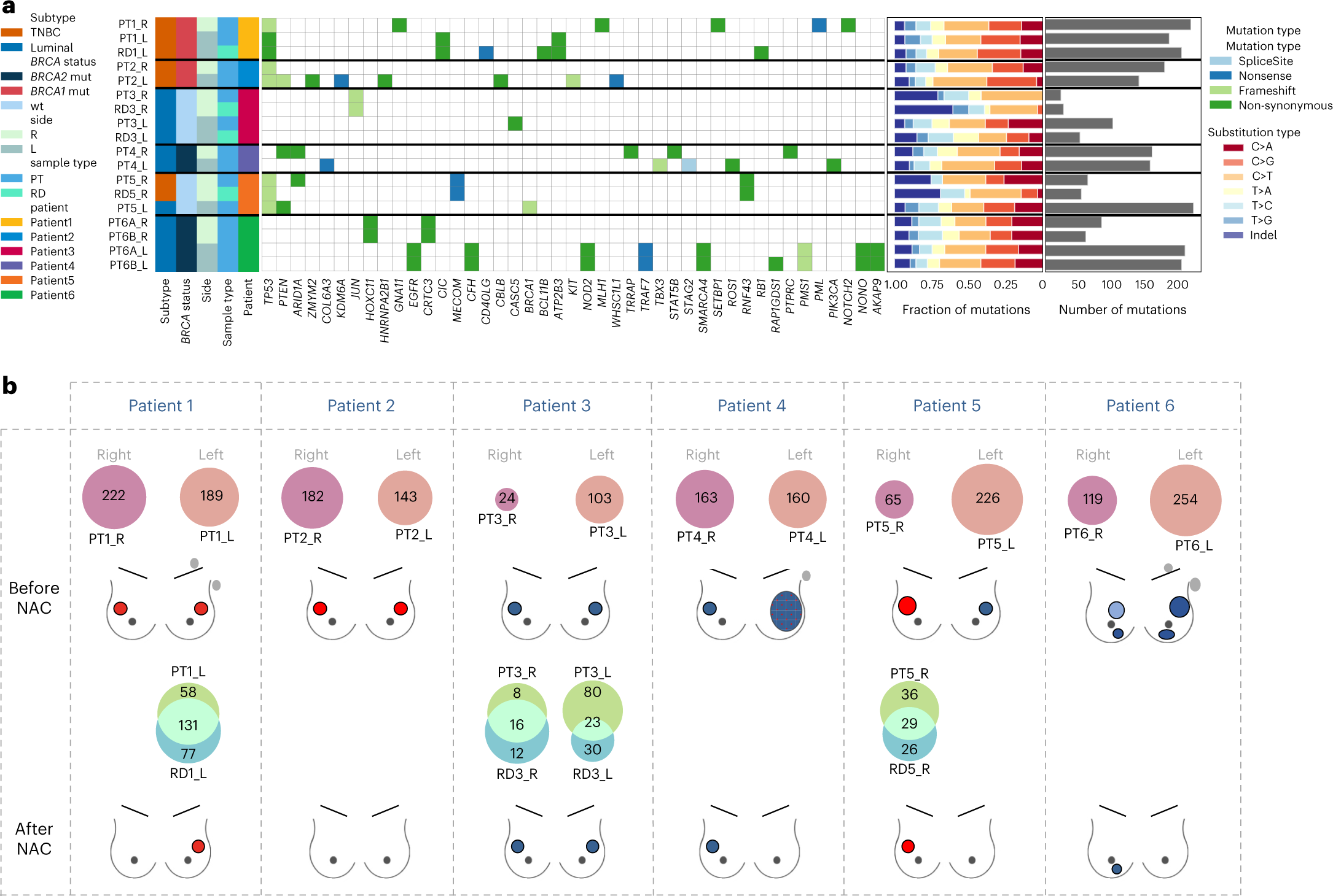 Fig. 2: Tumor mutation profiles.