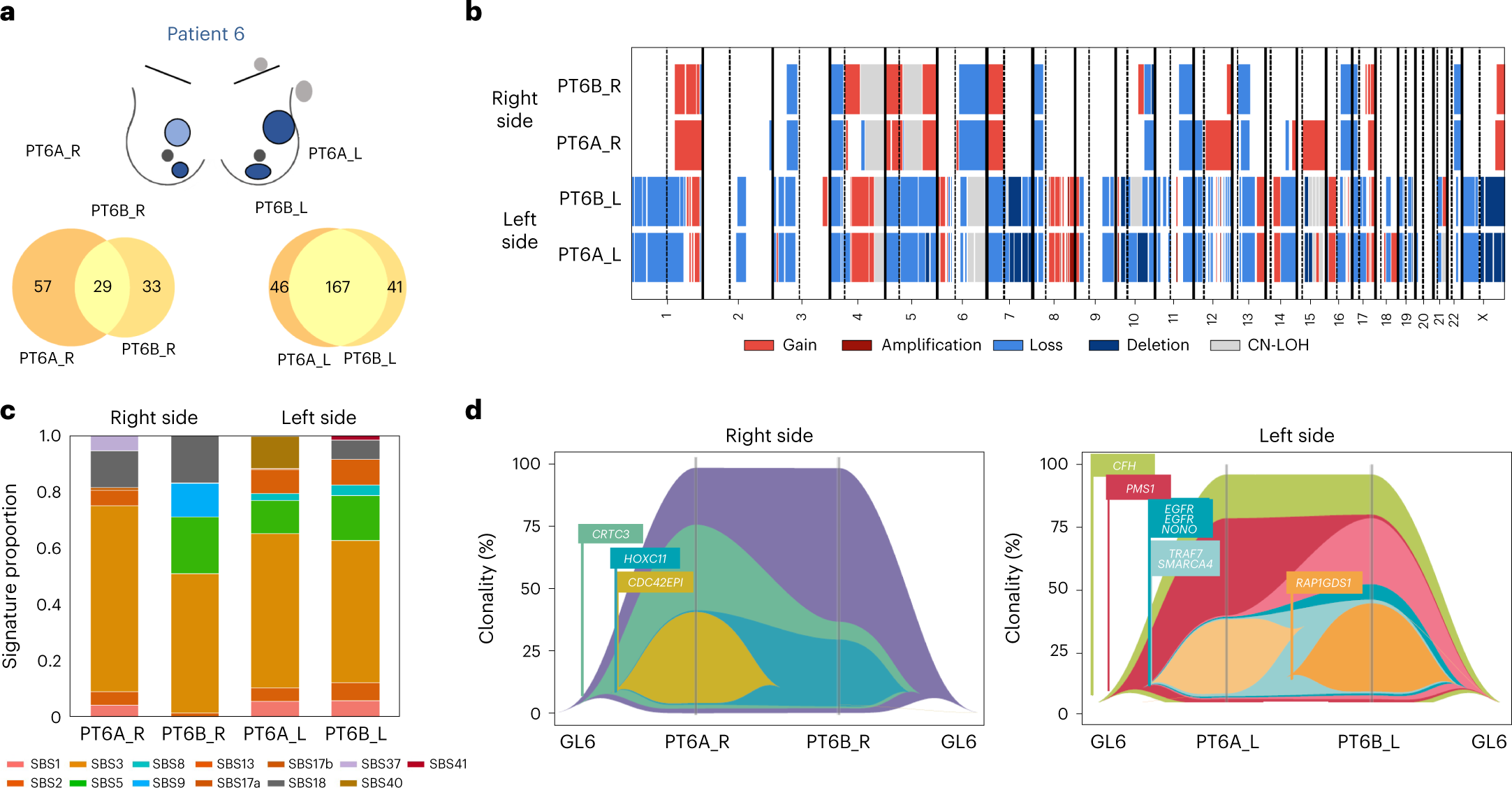Fig. 5: Genomic alterations in the patient with multicentric sBBCs.