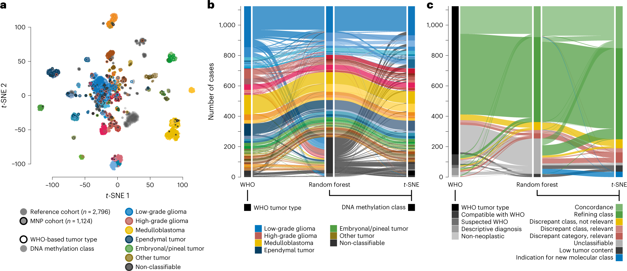 Fig. 3: Landscape of DNA methylation classes and levels of concordance with WHO-based diagnosis.