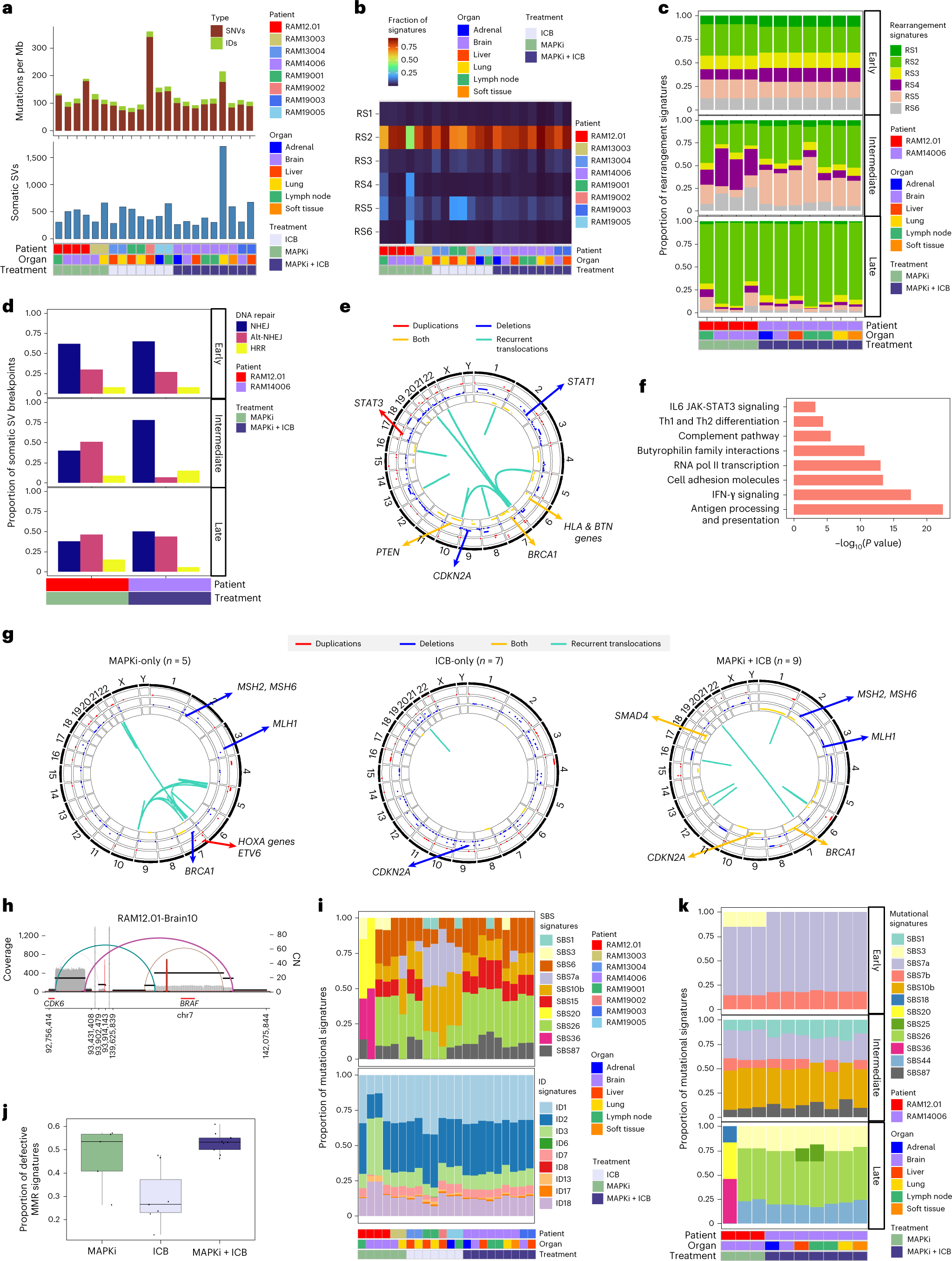 Fig. 3: Whole-genomic landscape of therapy-resistant cutaneous melanoma.