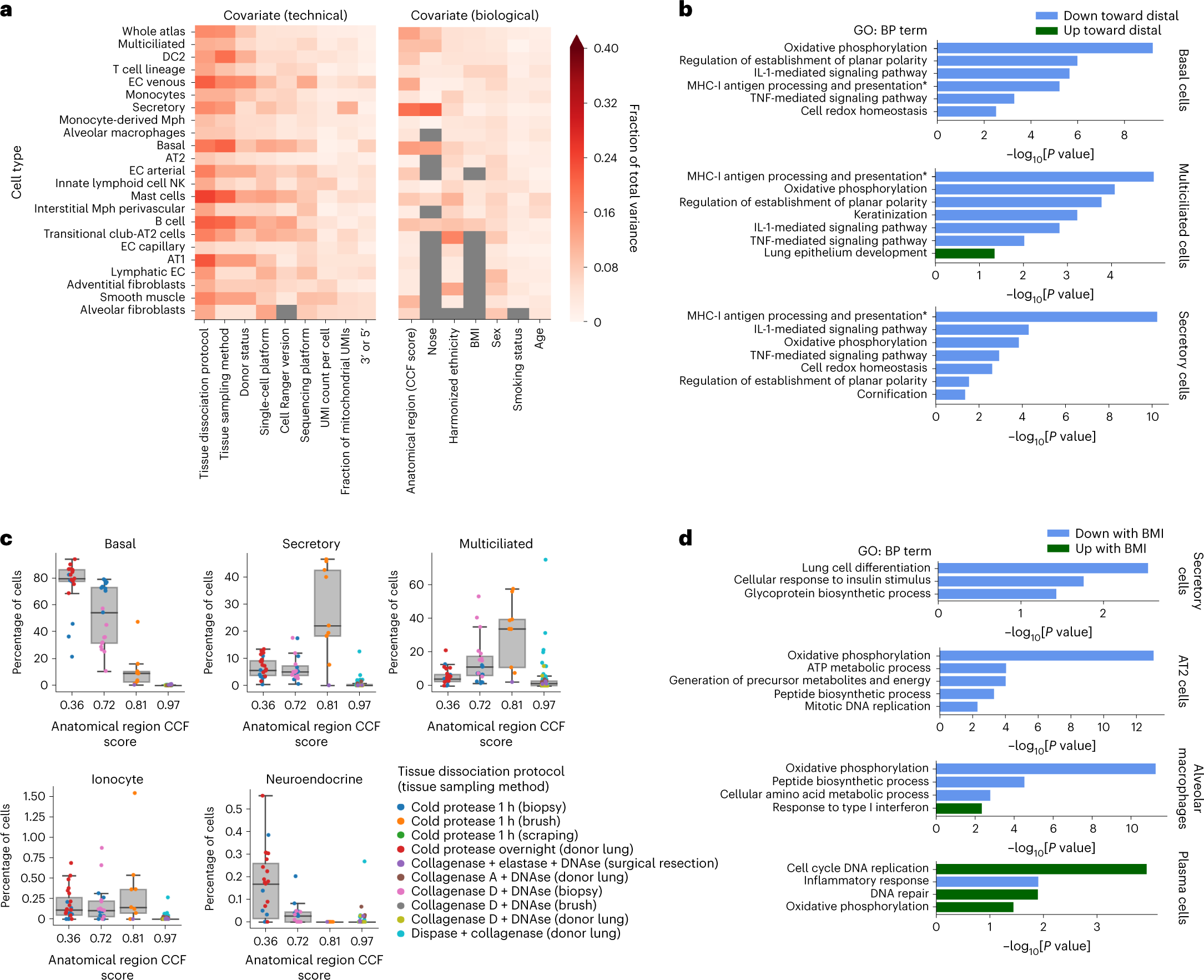 Fig. 4: Demographic and technical variables driving interindividual variation.