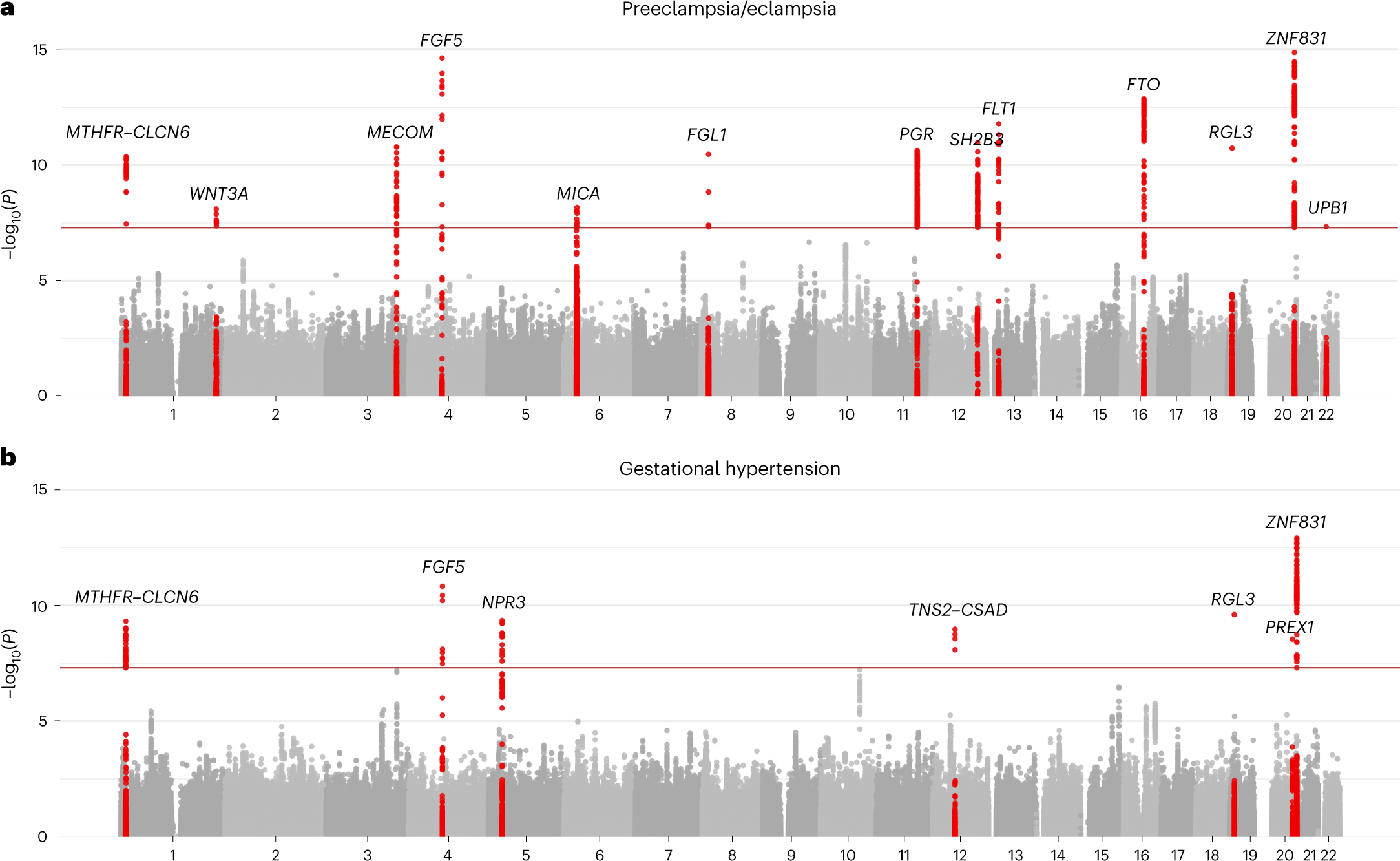 Polygenic prediction of preeclampsia and gestational hypertension | Nature  Medicine