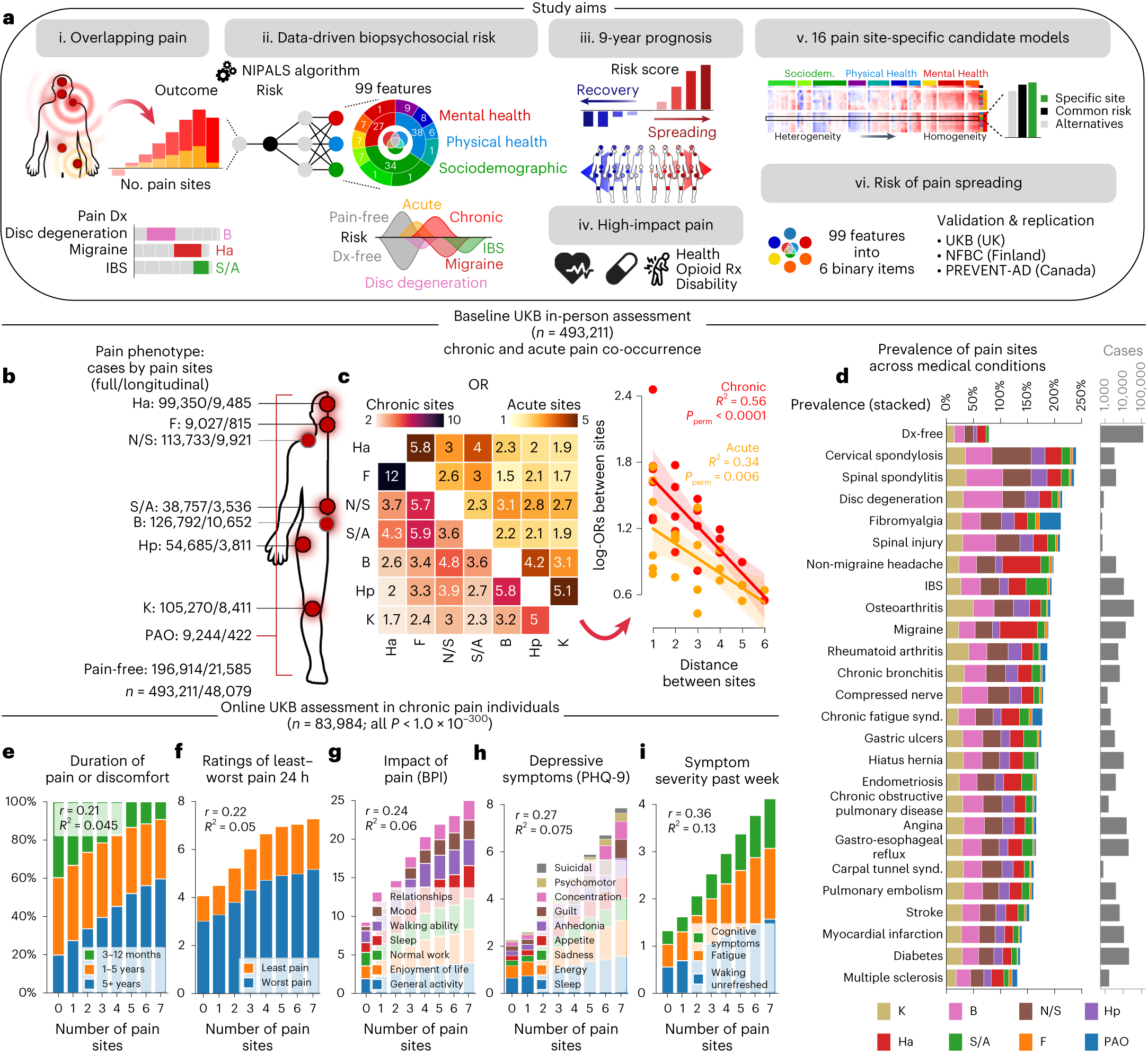 7+ Pain Body Chart