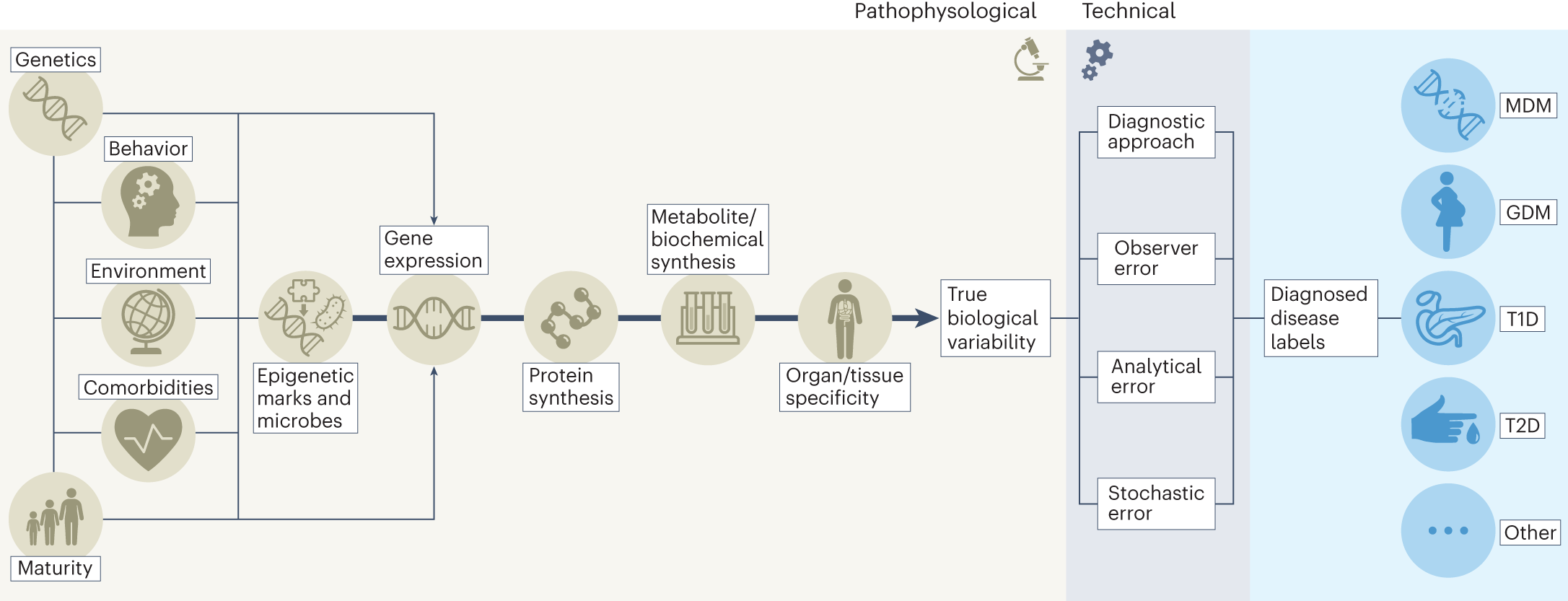 Second international consensus report on gaps and opportunities for the  clinical translation of precision diabetes medicine | Nature Medicine