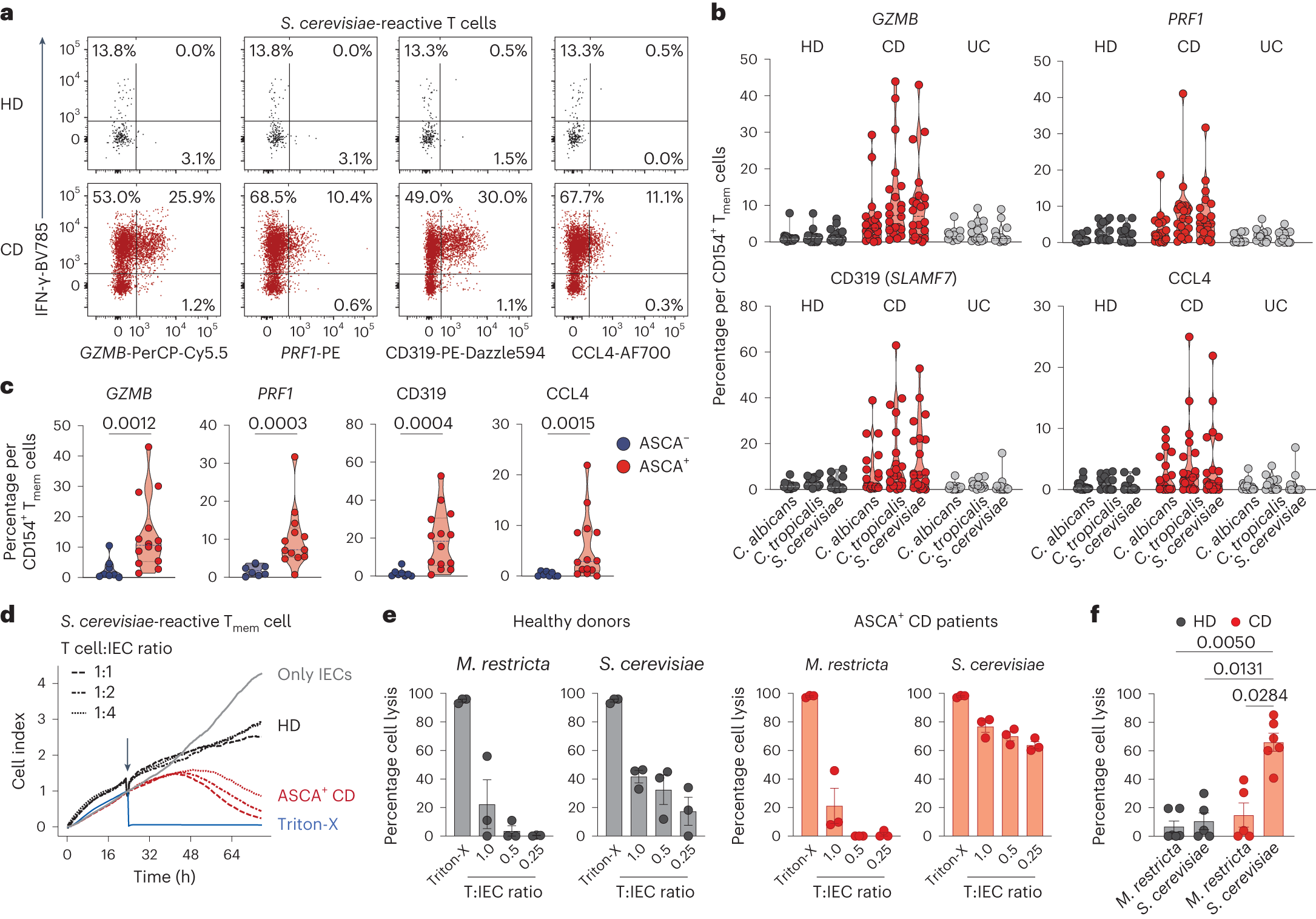 Fig. 4: Yeast-responsive TH1-CTLs from patients with CD have potent killing ability for IECs.