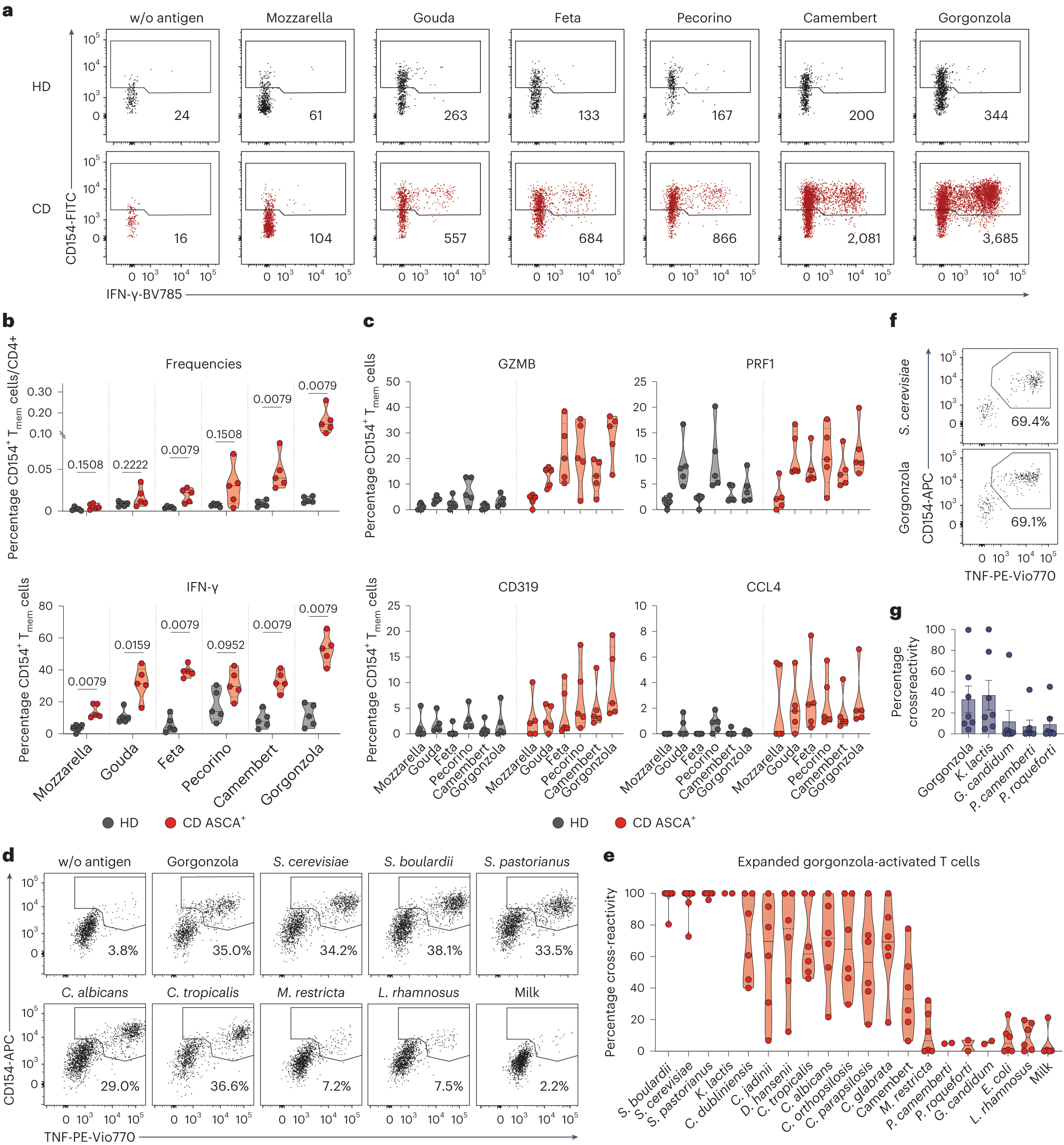 Fig. 6: Food-derived yeasts can activate cross-reactive TH1-CTLs in patients with CD.