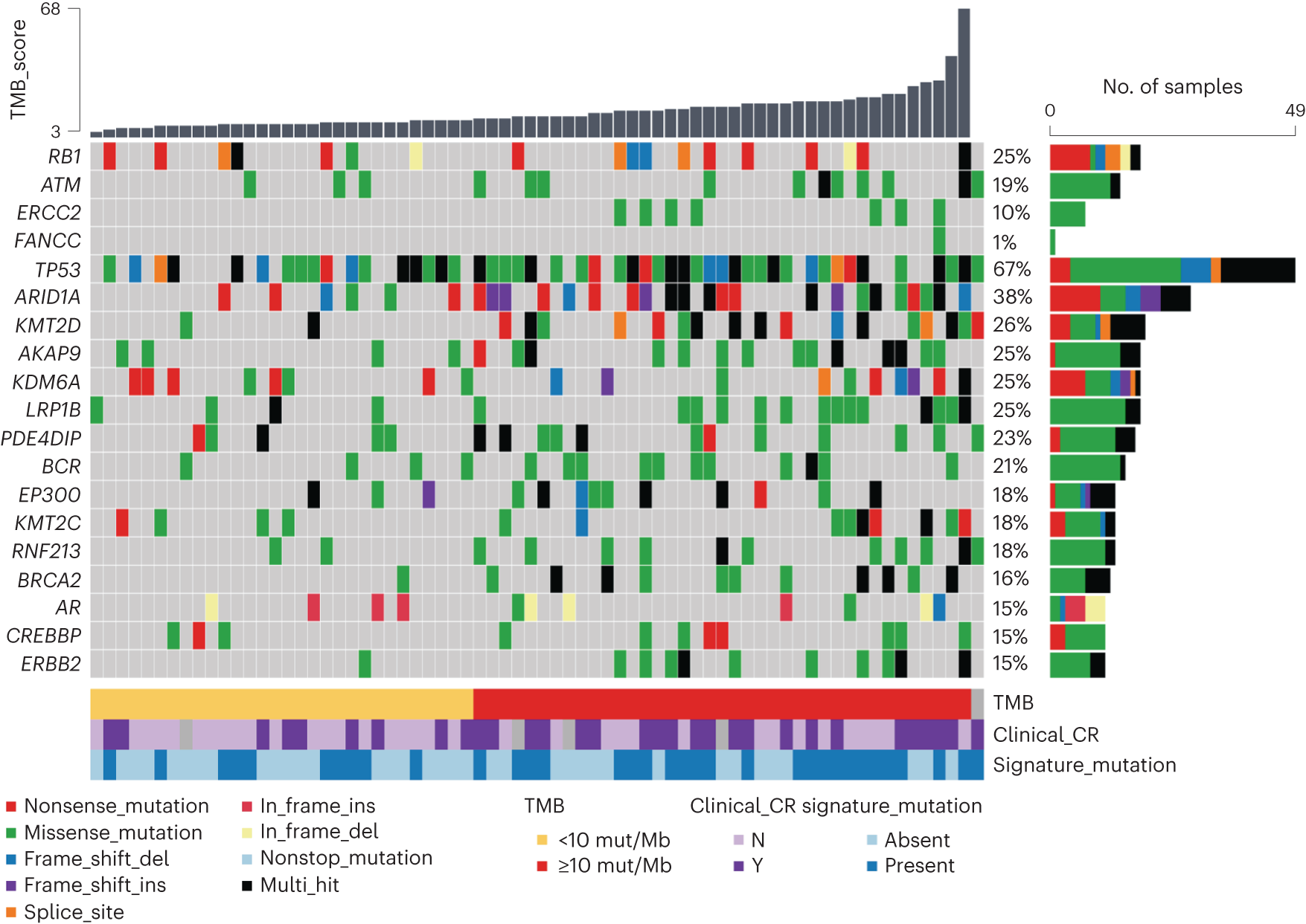 Fig. 3: Genomic alterations in pre-treatment tumor tissue and association with clinical outcomes.