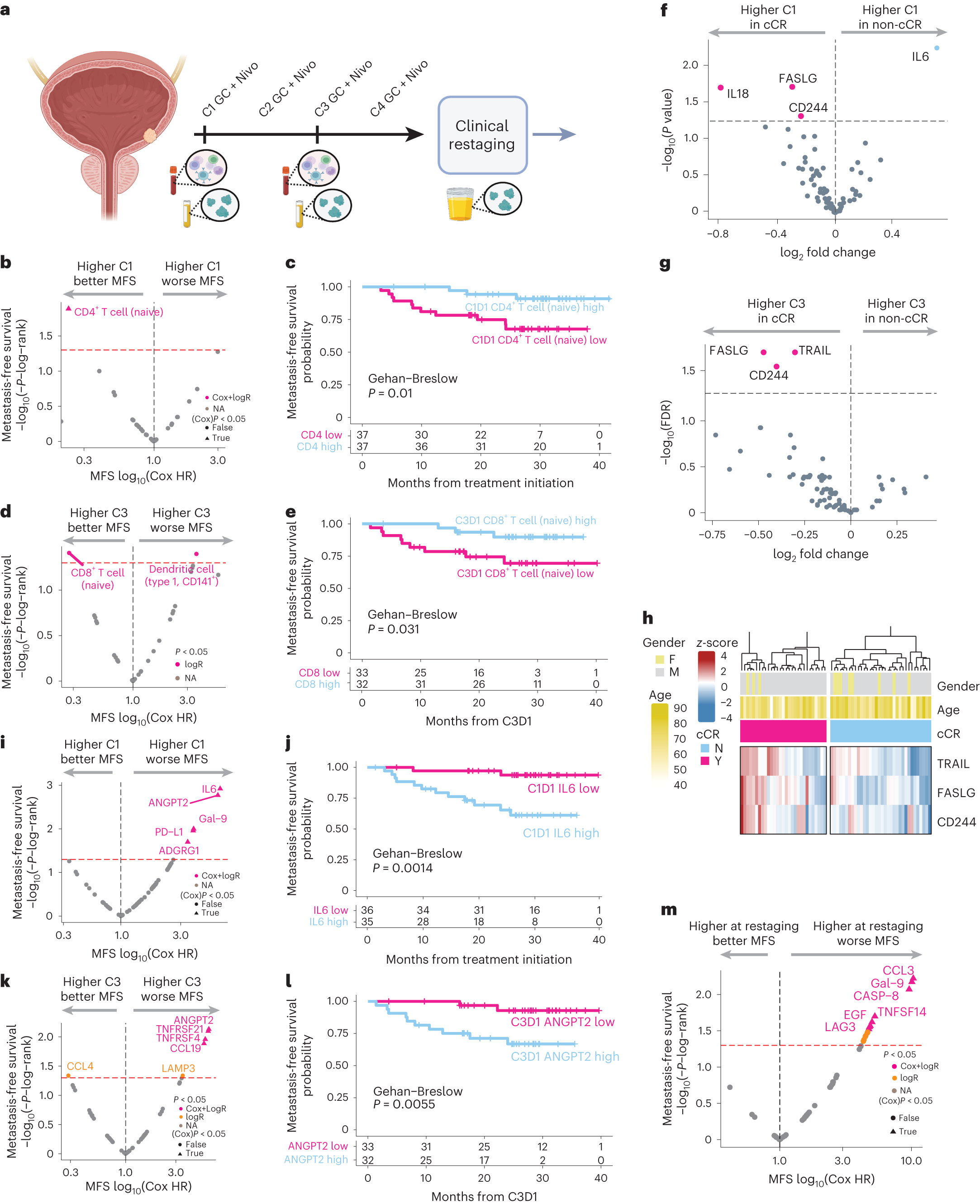 Fig. 4: Association between peripheral blood immune populations as determined by mass cytometry (CyTOF) or peripheral blood or urine protein analytes and cCR or metastasis-free survival.
