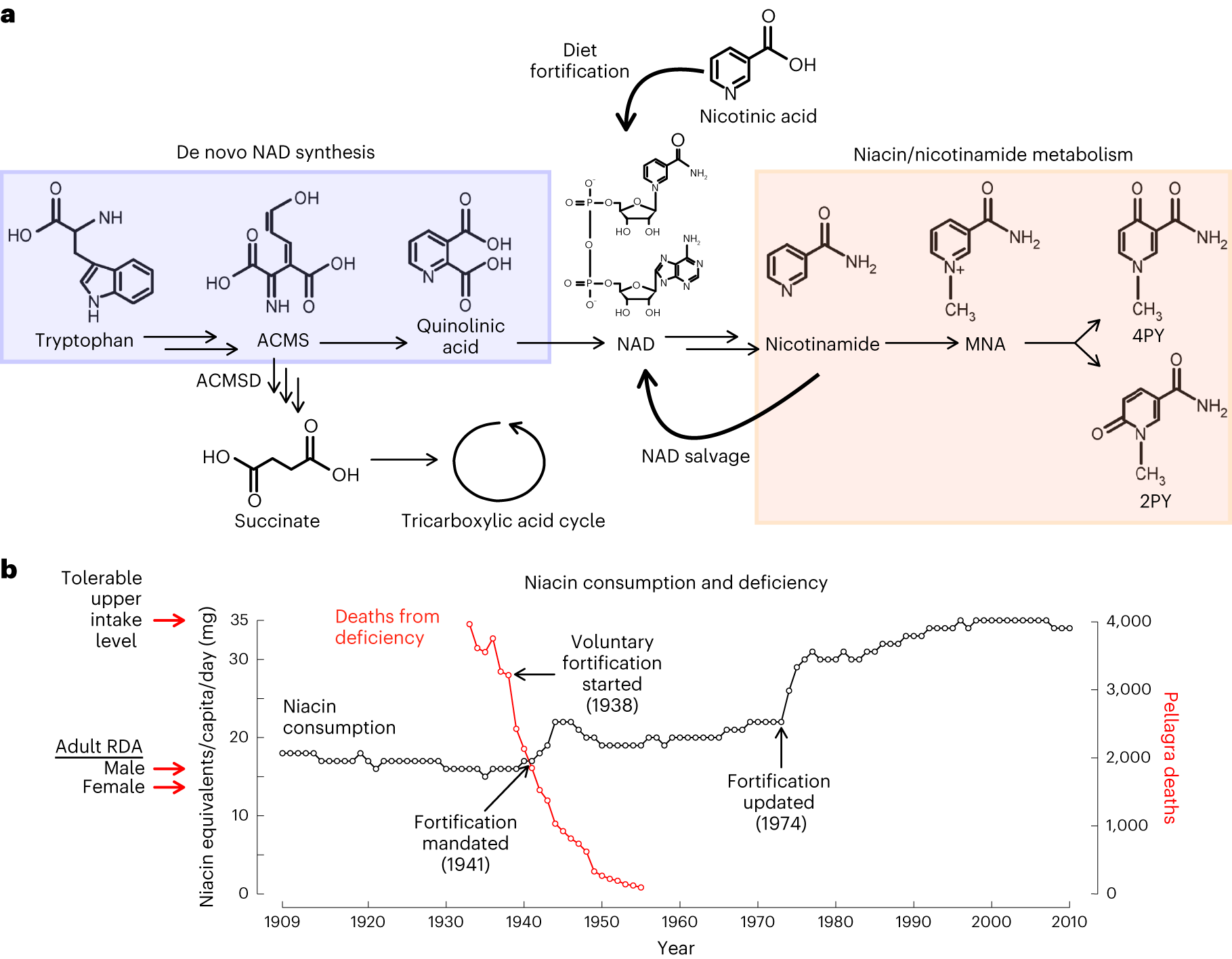 what is nicotinic acid versus niacin dihexa nate A terminal metabolite of promotes vascular inflammation and contributes to cardiovascular disease risk bpc-157 oral vs injection Vaccines & Treatments Type:Injection