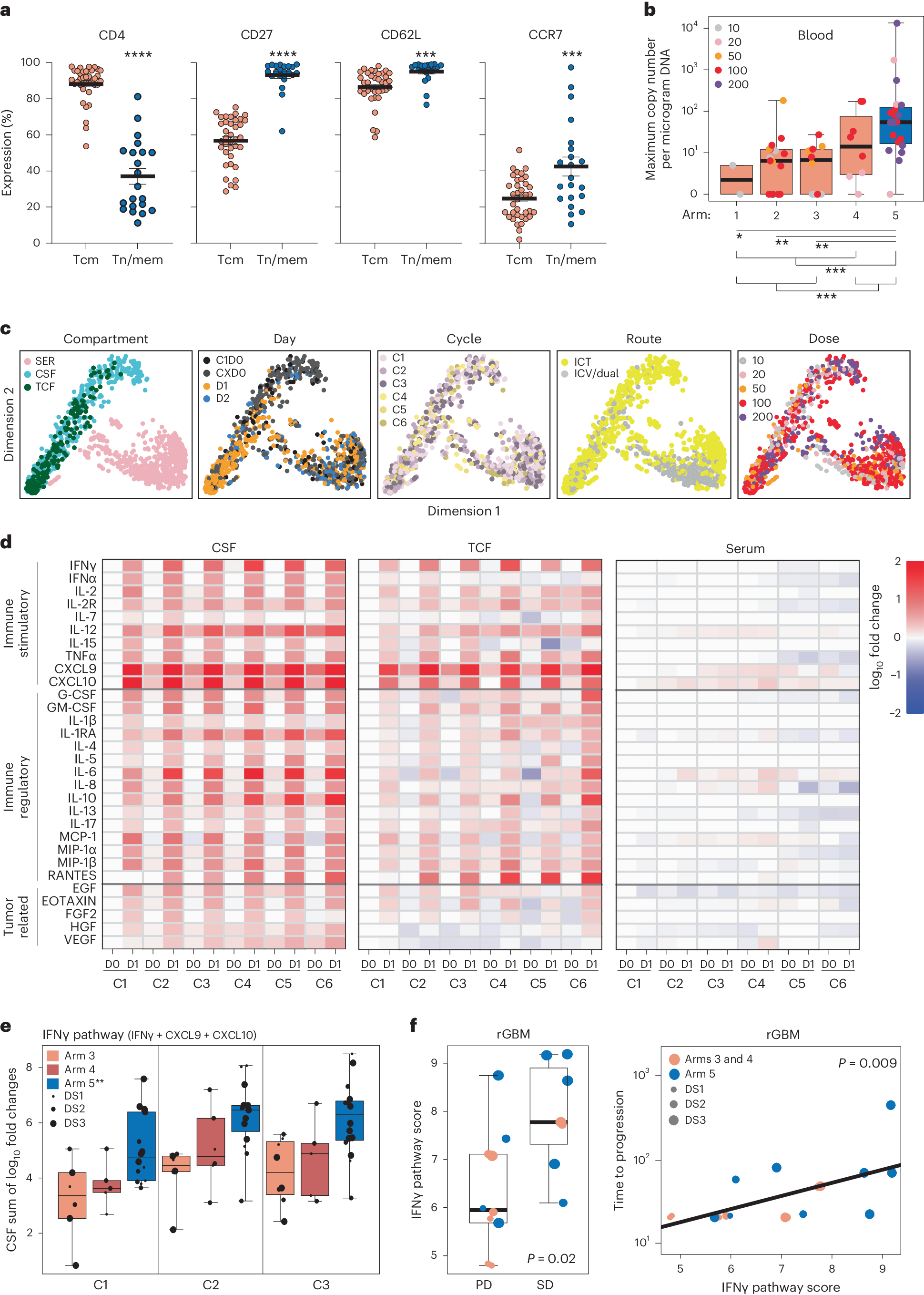 Fig. 3: Correlative assessment of CAR-T persistence and patient cytokine profiles.