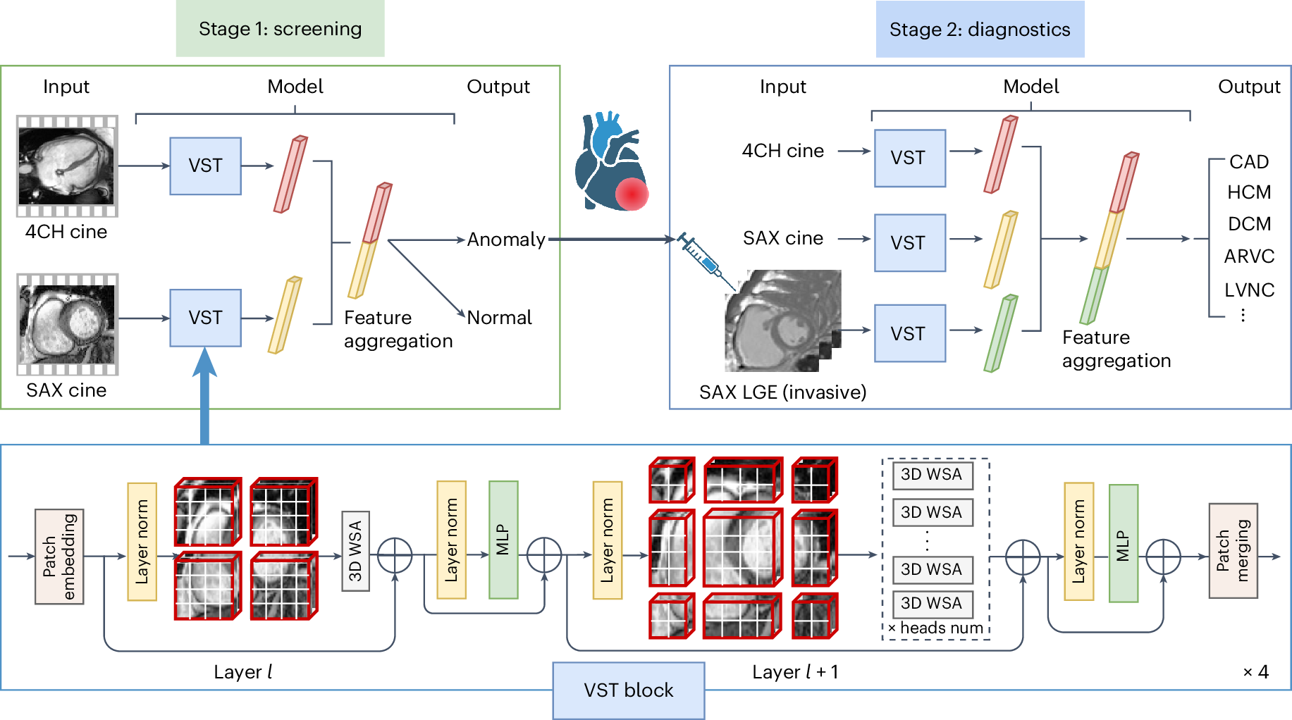 Fig. 1: Workflow of the two-stage paradigm for automatic screening and diagnostics of CVDs.