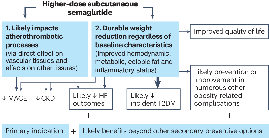 semaglutide first dose what to expect Maximum Semaglutide Dosing: Exploring Benefits and Risks