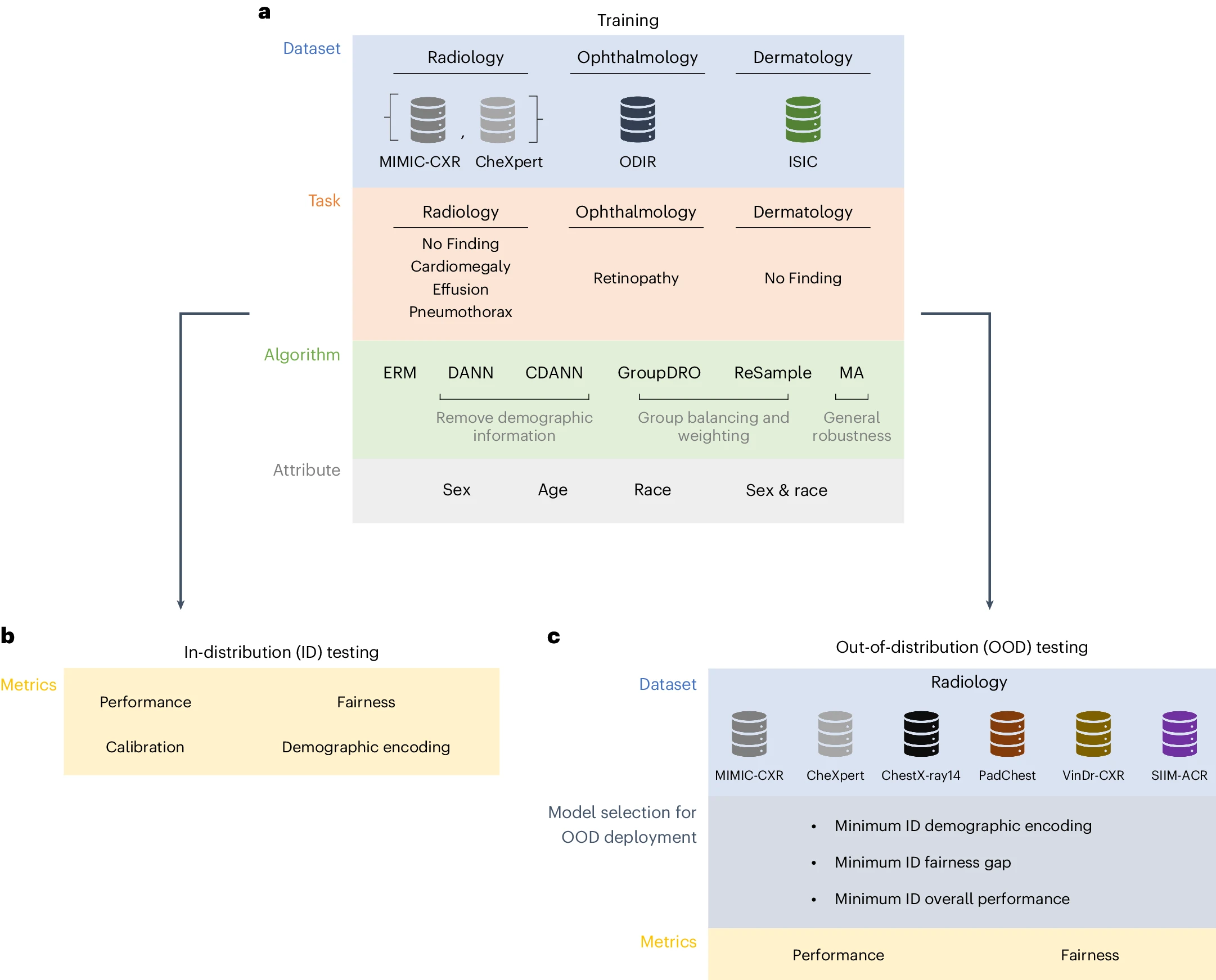 a, We trained a grid of deep learning models on medical images from a variety of modalities on several clinical tasks. We applied a variety of state-of-the-art algorithms to mitigate shortcuts, for up to four demographic attributes (where available). b, We evaluated each model ID (that is, on the same dataset where it is trained), along the axis of performance, fairness, amount of demographic encoded and calibration. c, We evaluated the performance and fairness of CXR classification models on OOD domains. To mimic a realistic deployment setting where OOD samples are not observed, we chose the ‘best’ model based on several ID selection criteria.
