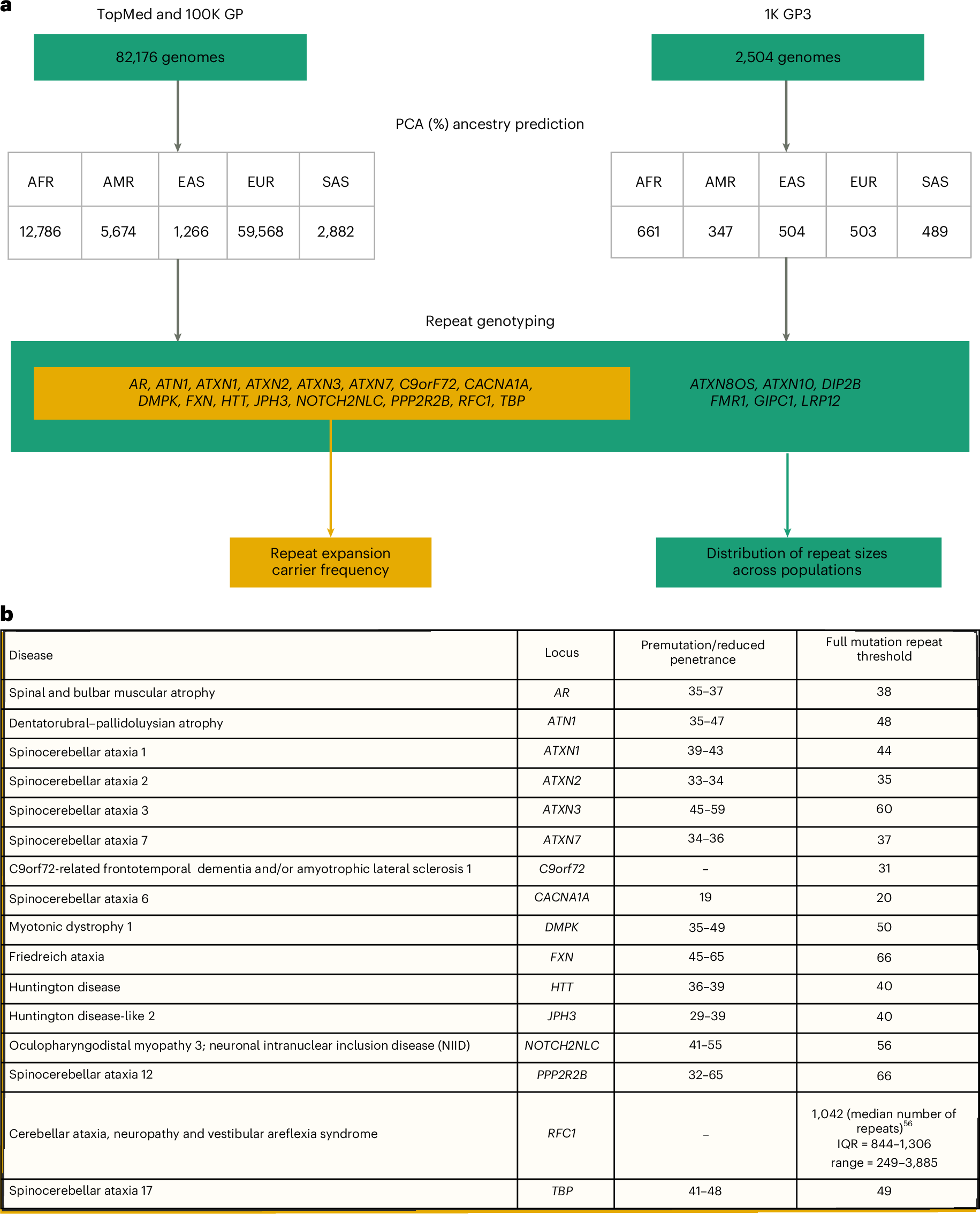 Fig. 1: Overview of the study.