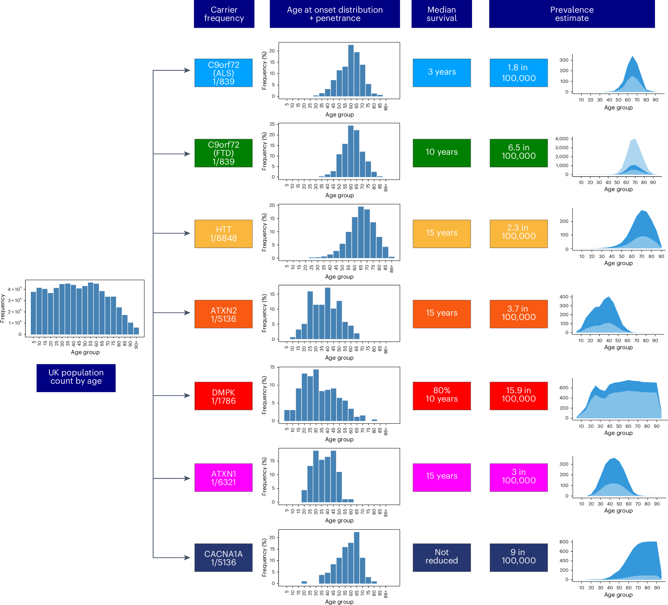 Fig. 3: Flowchart showing the modeling of disease prevalence by age for C9orf72-ALS, C9orf72-FTD, HD in 40 CAG repeat carriers, SCA2, DM1, SCA1 and SCA6.