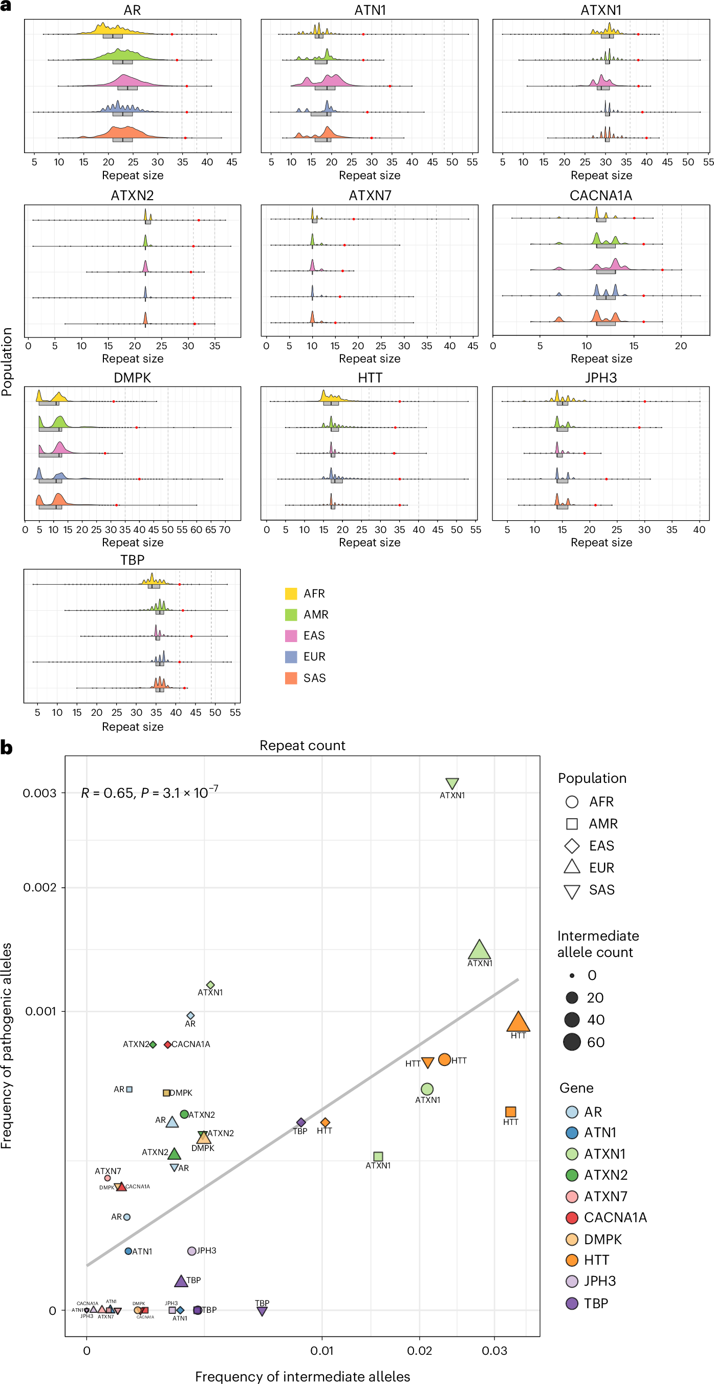 Fig. 5: The distribution of repeat lengths in different populations.