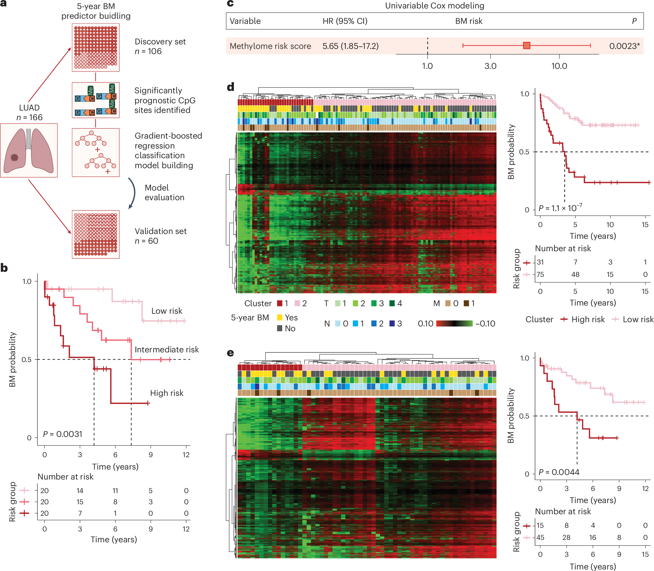 Scientific image associated with Prediction of brain metastasis development with DNA methylation signatures