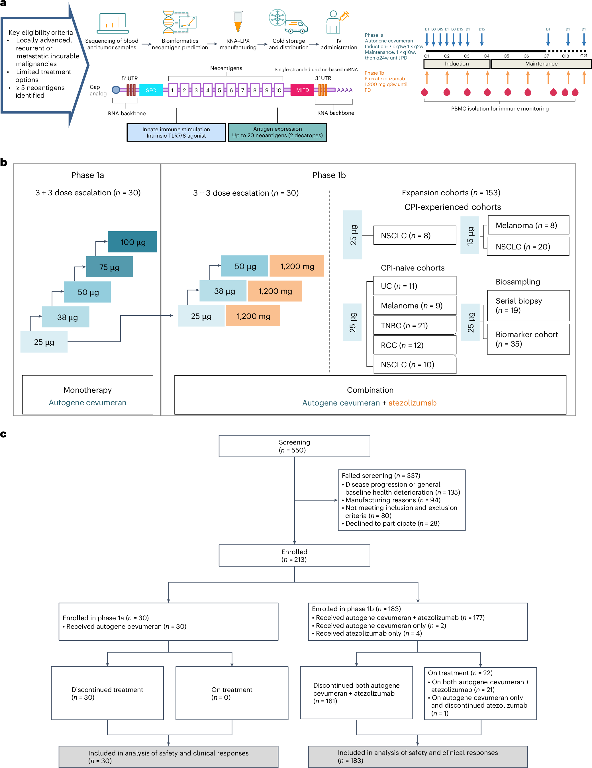 Autogene cevumeran with or without atezolizumab in advanced solid tumors: a  phase 1 trial | Nature Medicine