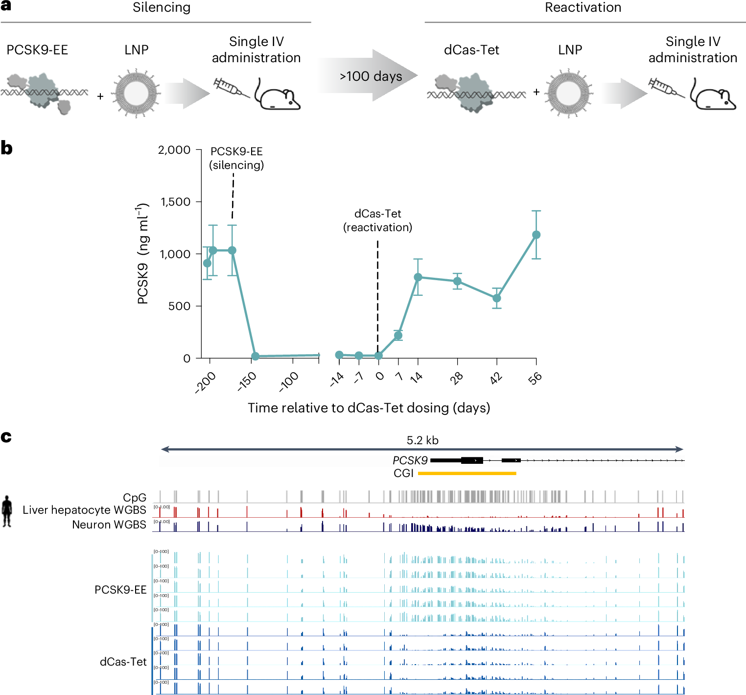 Fig. 5: In vivo reversibility of the effects of the PCSK9 EE using a PCSK9 epigenetic activator.