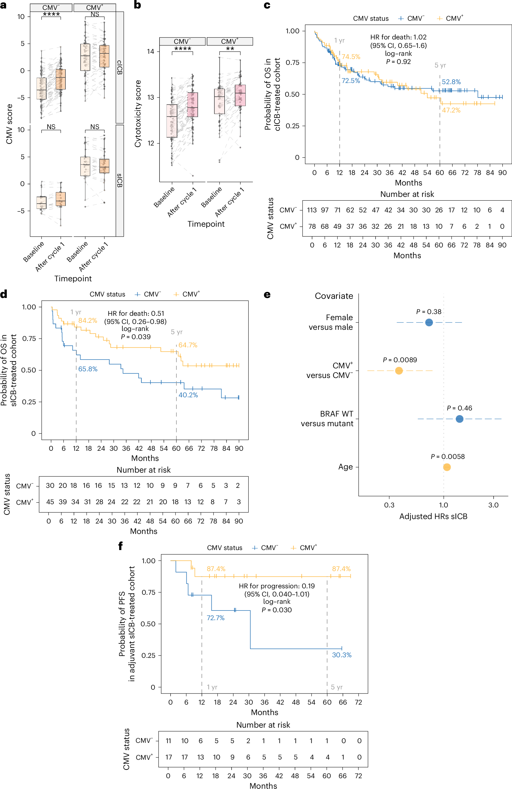 Fig. 2: CMV is associated with divergent CD8+ T cell transcriptomic and clinical response to ICB.