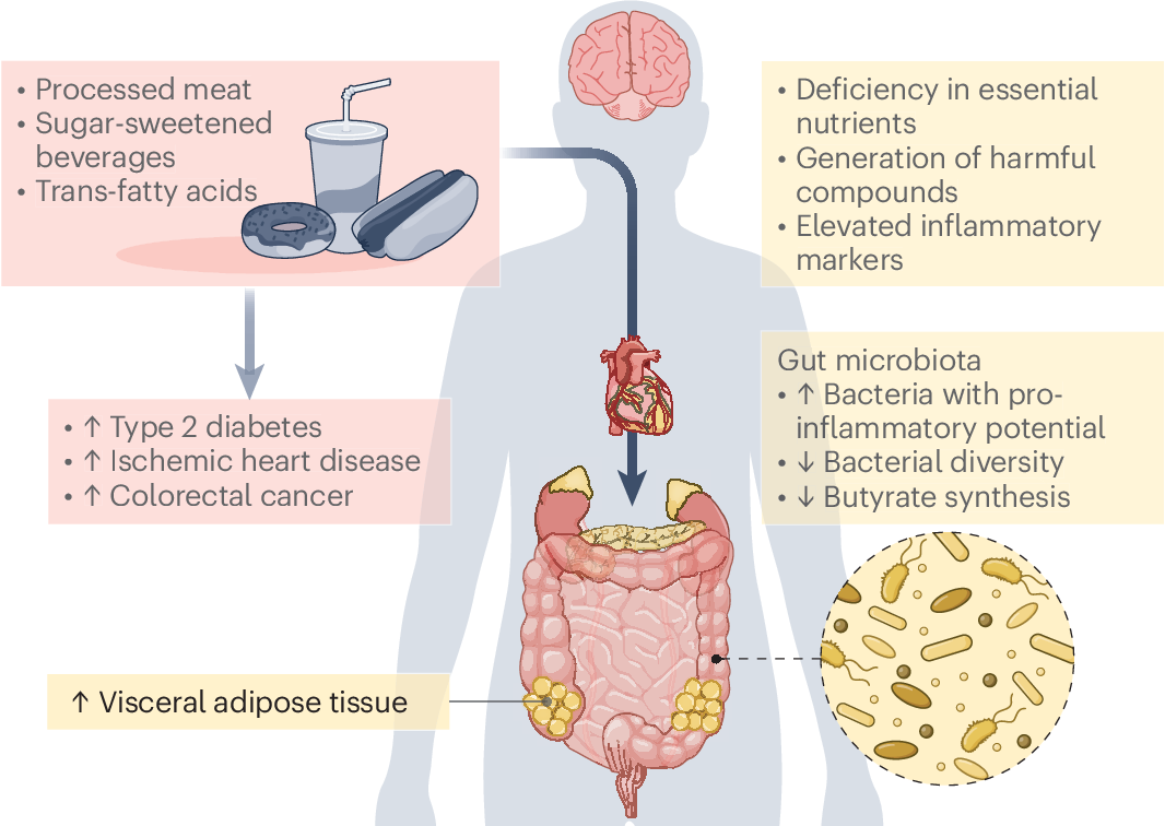 Another WWE Star Turns into OnlyF*ns Model: Cora Jade Explains Her Decision  After Mandy Rose Earned Millions