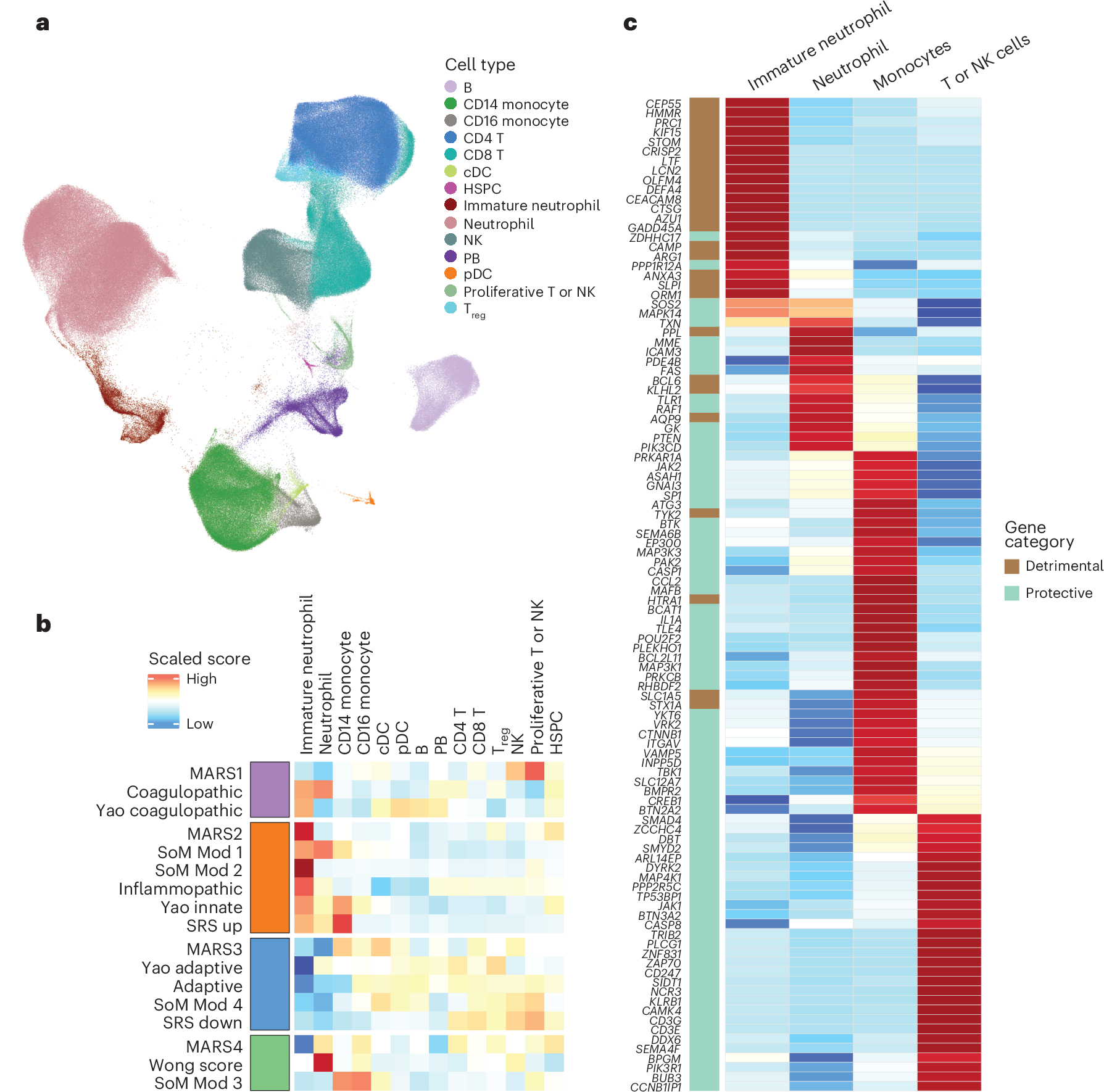 Fig. 3: Single-cell analysis of consensus endotypes.