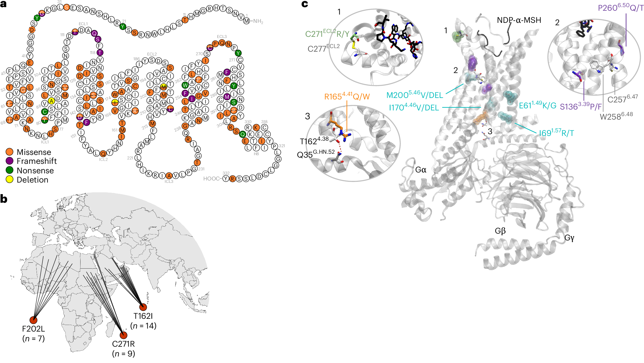 Obesity due to MC4R deficiency is associated with reduced cholesterol,  triglycerides and cardiovascular disease risk | Nature Medicine