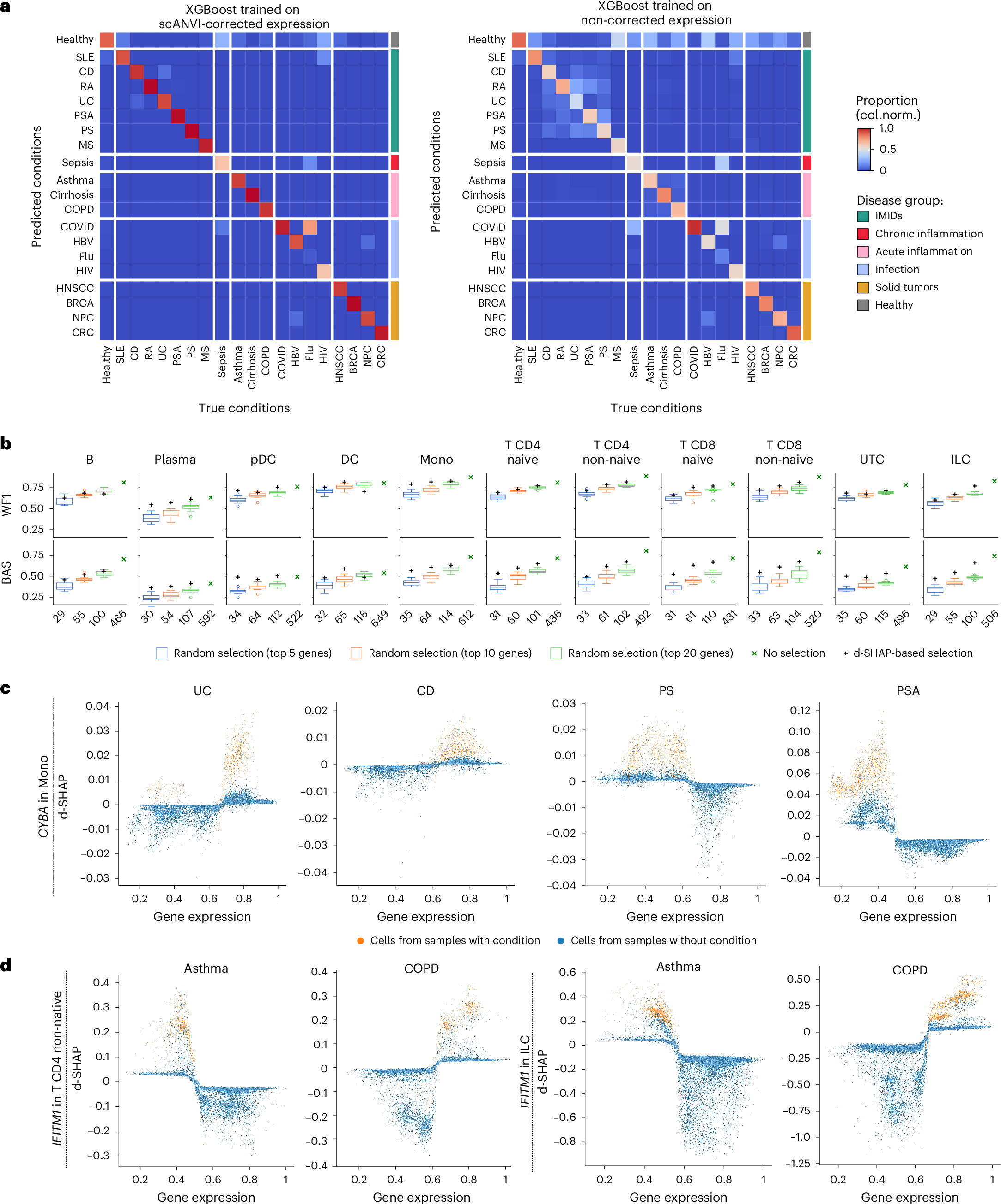 Fig. 3: Functional gene discovery using interpretable machine learning.