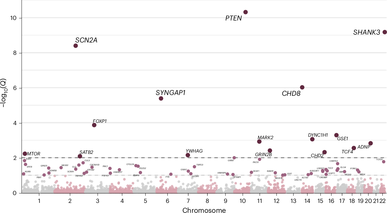 Fig. 4: Manhattan plot of autism genes identified in Latin American participants.
