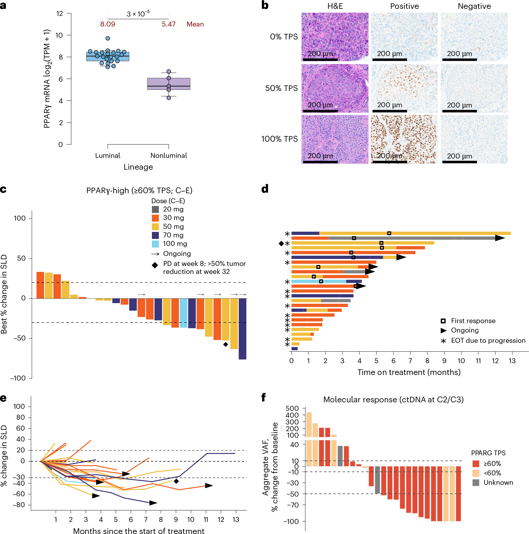 Fig. 3: Development of PPARγ immunohistochemical assay to enrich likelihood of response to FX-909.