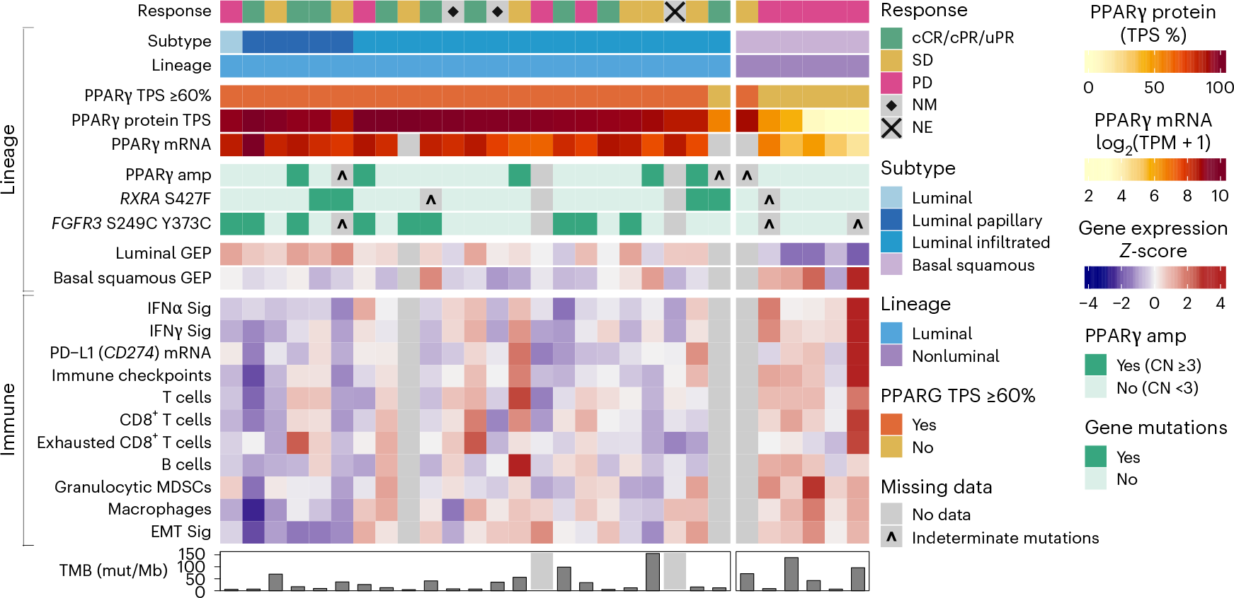 Fig. 4: Relationship between UCs with high PPARγ protein expression, other molecular features and radiographic response to FX-909 (N = 29).