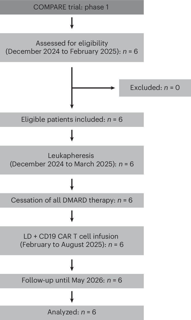Photograph accompanying A single CD19 CAR-T infusion held three of six refractory rheumatoid arthritis patients drug-free