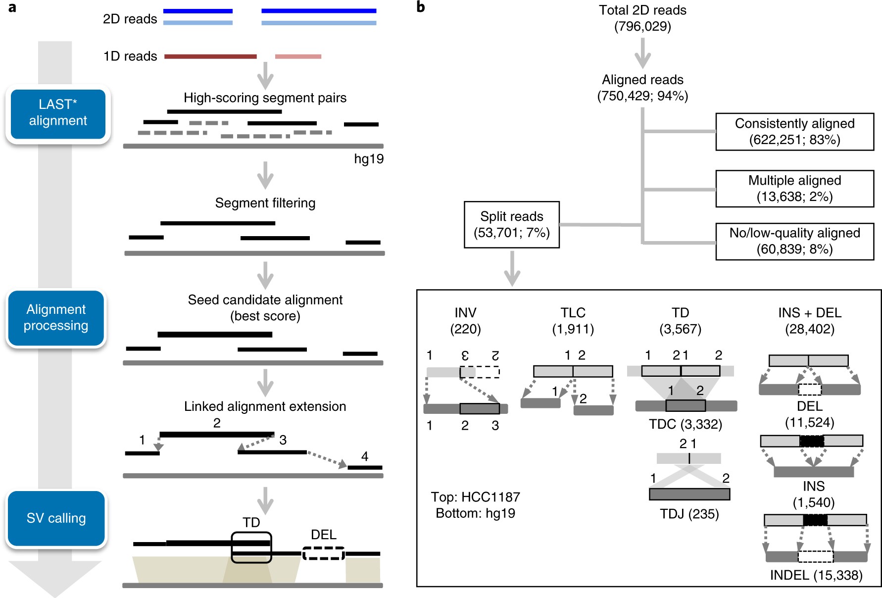 Orientation of flanking sequences neighboring to insertions in long reads