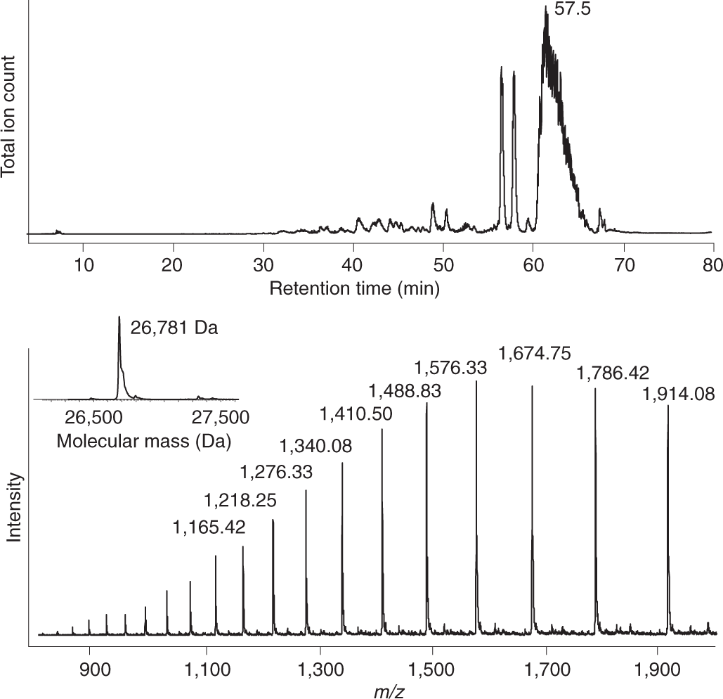 Fig. 6: LC-MS of bacteriorhodopsin-containing purple membrane of H. salinarum prepared following Protocol 5b and analyzed on an Agilent HPLC system coupled to a Thermo linear ion trap (LTQ) mass spectrometer.