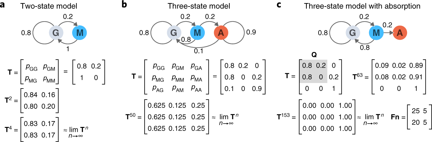 Markov models—Markov chains | Nature Methods