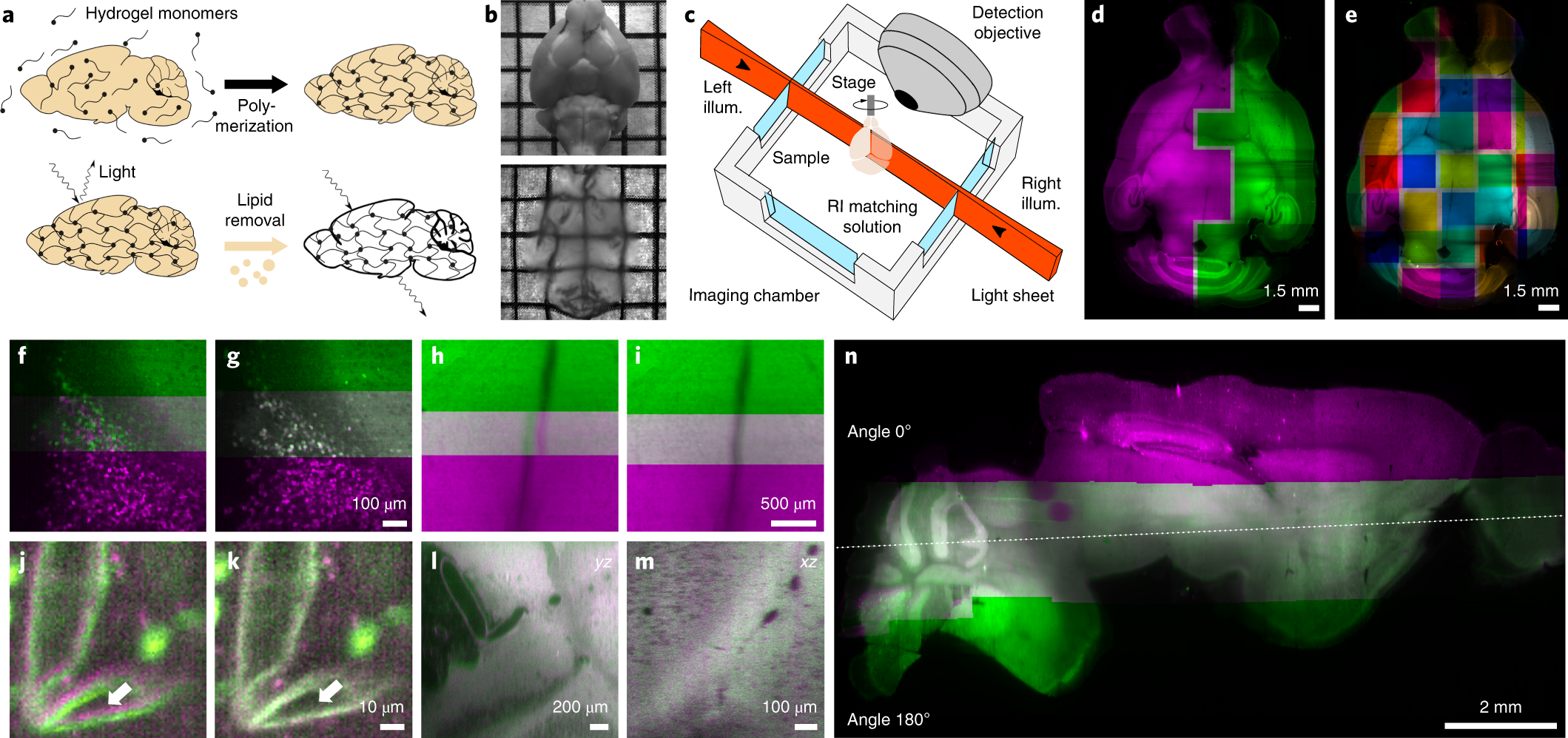 Bigstitcher Reconstructing High Resolution Image Datasets