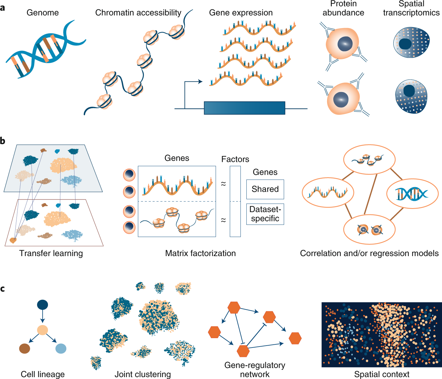 Computational methods for single-cell omics across modalities 