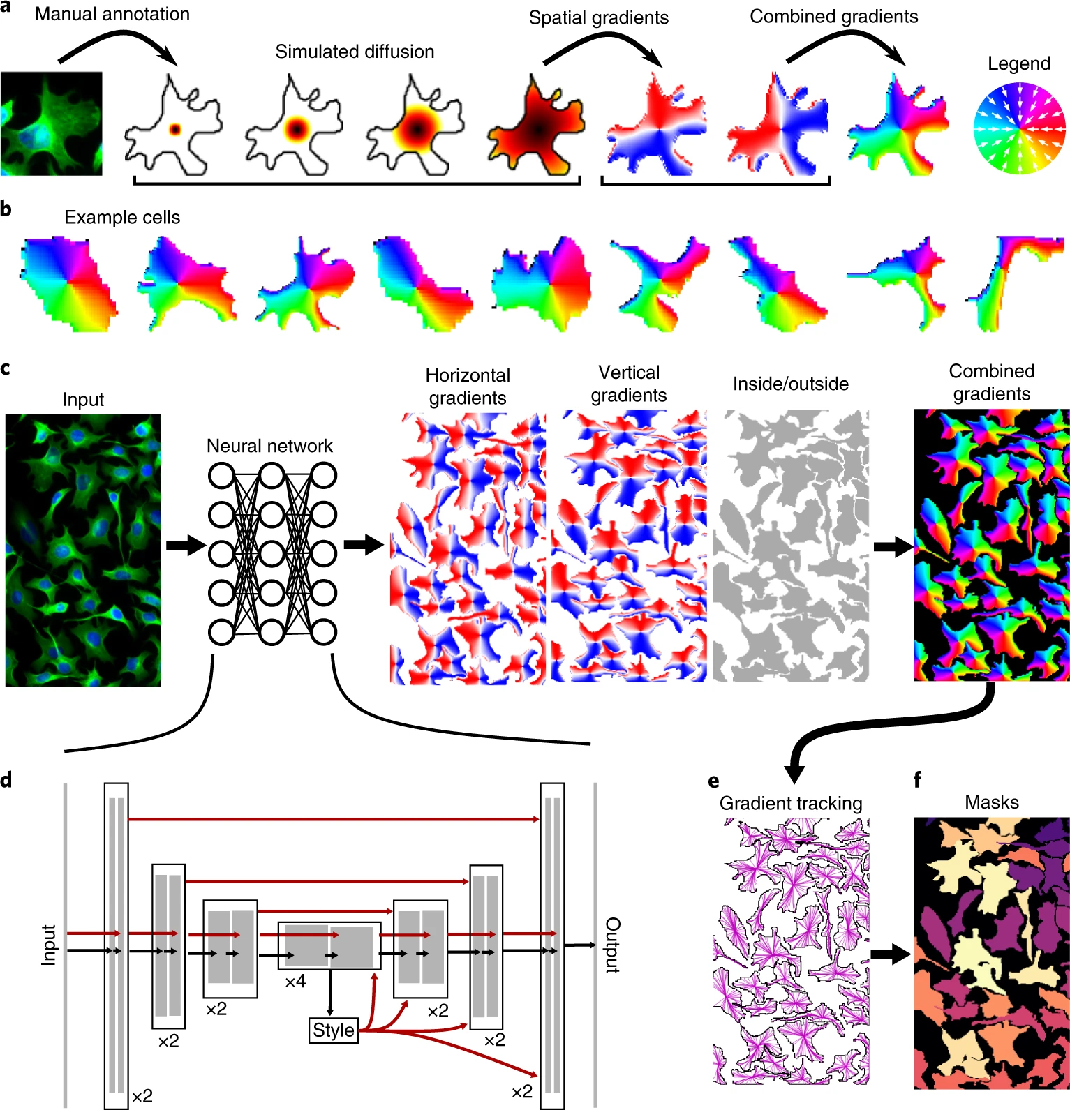 Cellpose Flow Fields