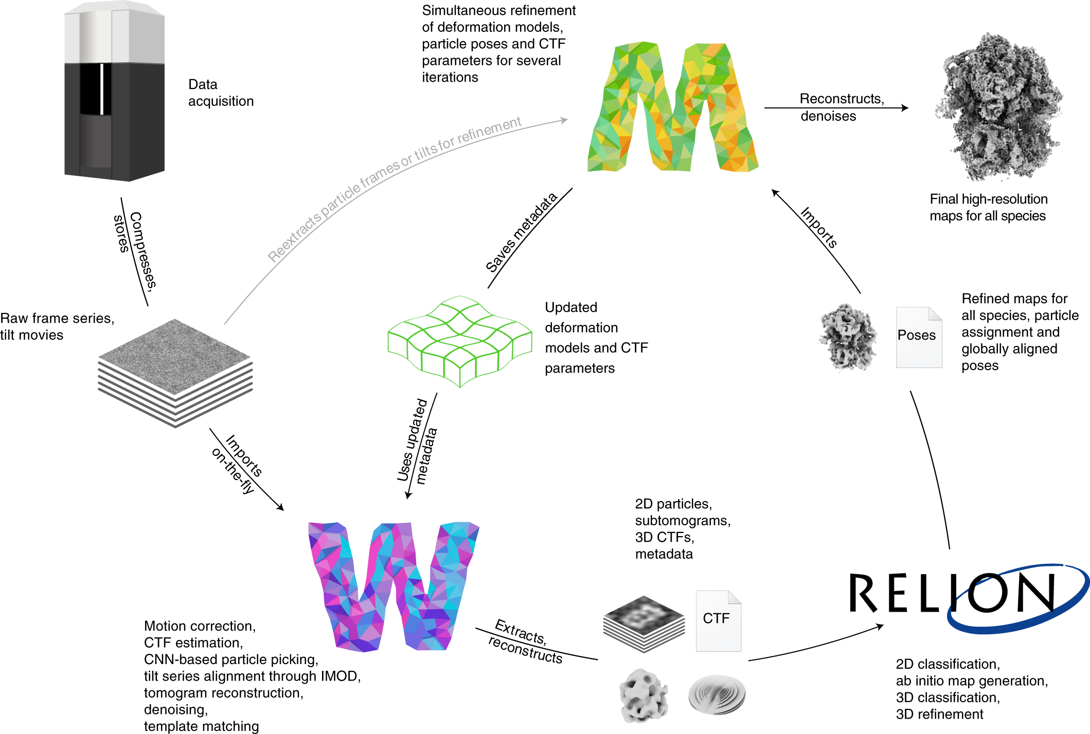 Template mesh. It is segmented into 33 parts, and here posed in the T