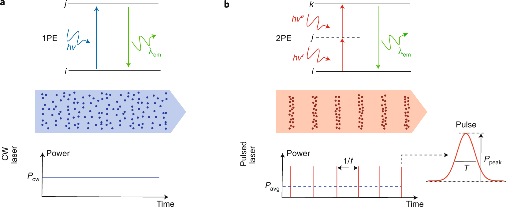 Pulse length measurement of the HGHG output using two-photon absorption