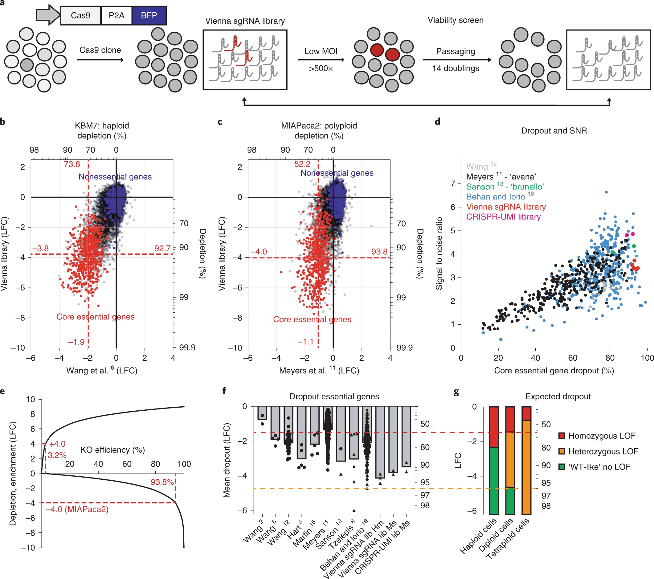 Multilayered VBC score predicts sgRNAs that efficiently generate loss-of- function alleles | Nature Methods
