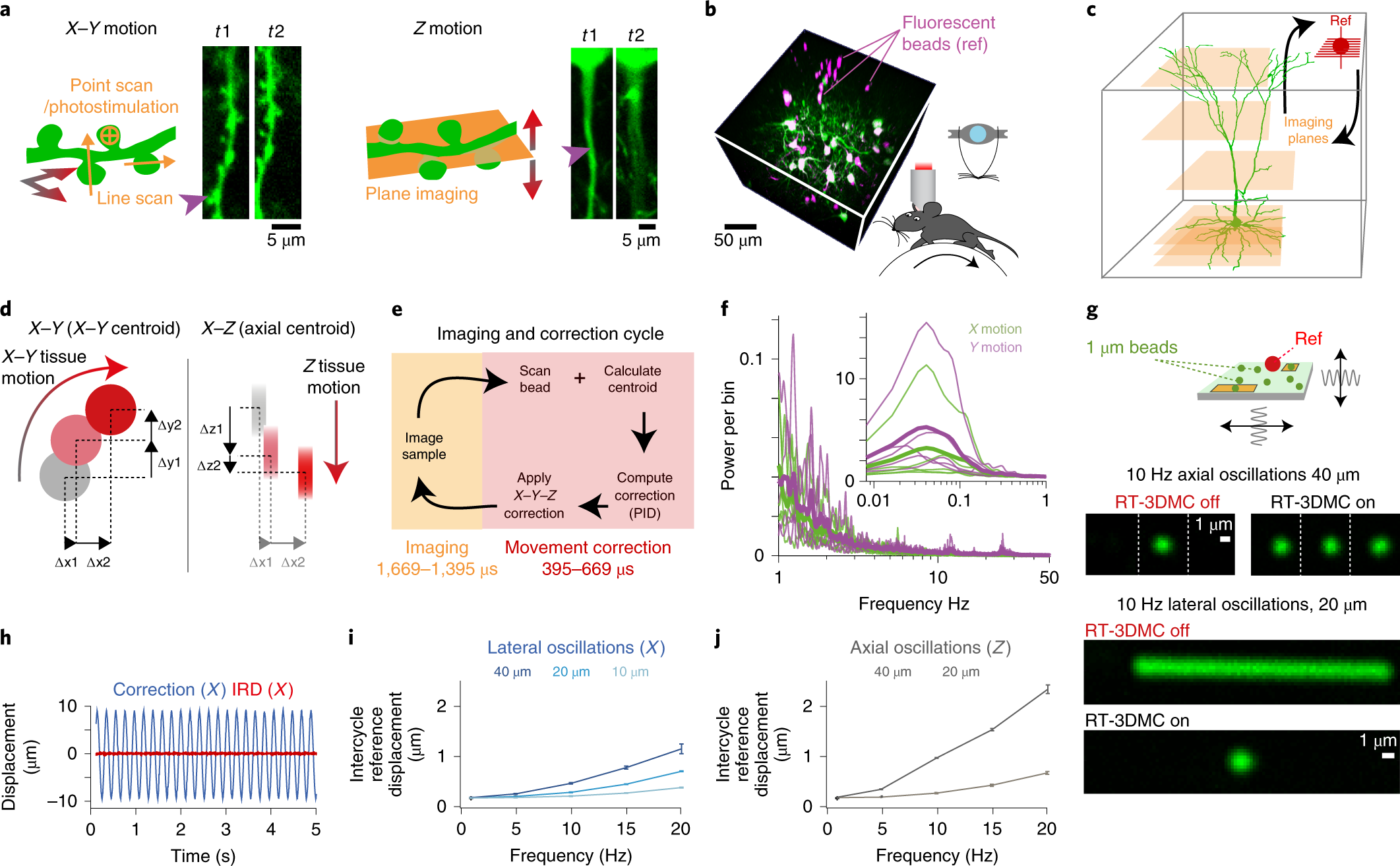Real Time 3d Movement Correction For Two Photon Imaging In Behaving Animals Nature Methods Real Time 3d Movement Correction For Two Photon Imaging In Behaving Animals Nature Methods