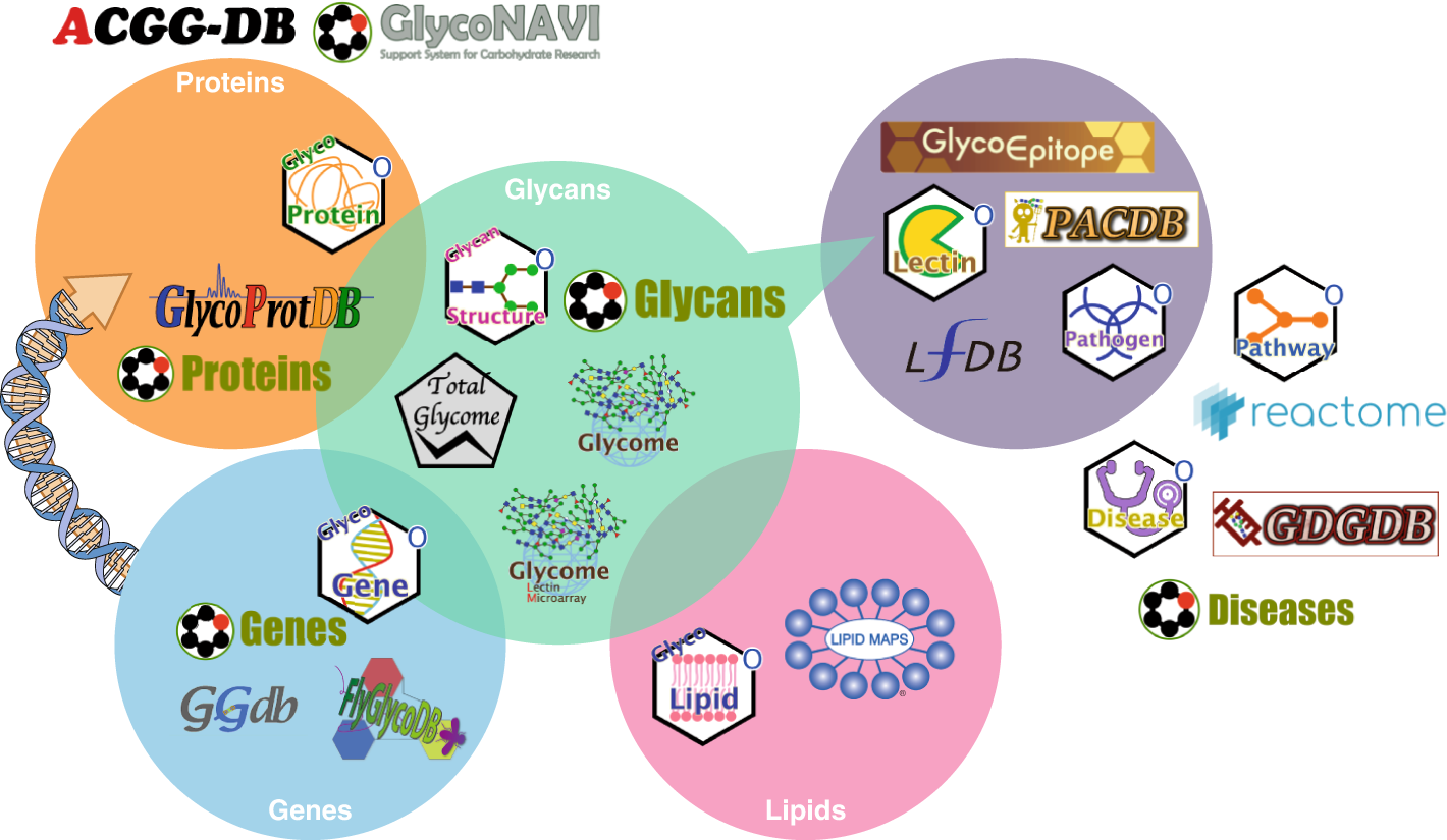 Glycoproteomics  Nature Reviews Methods Primers