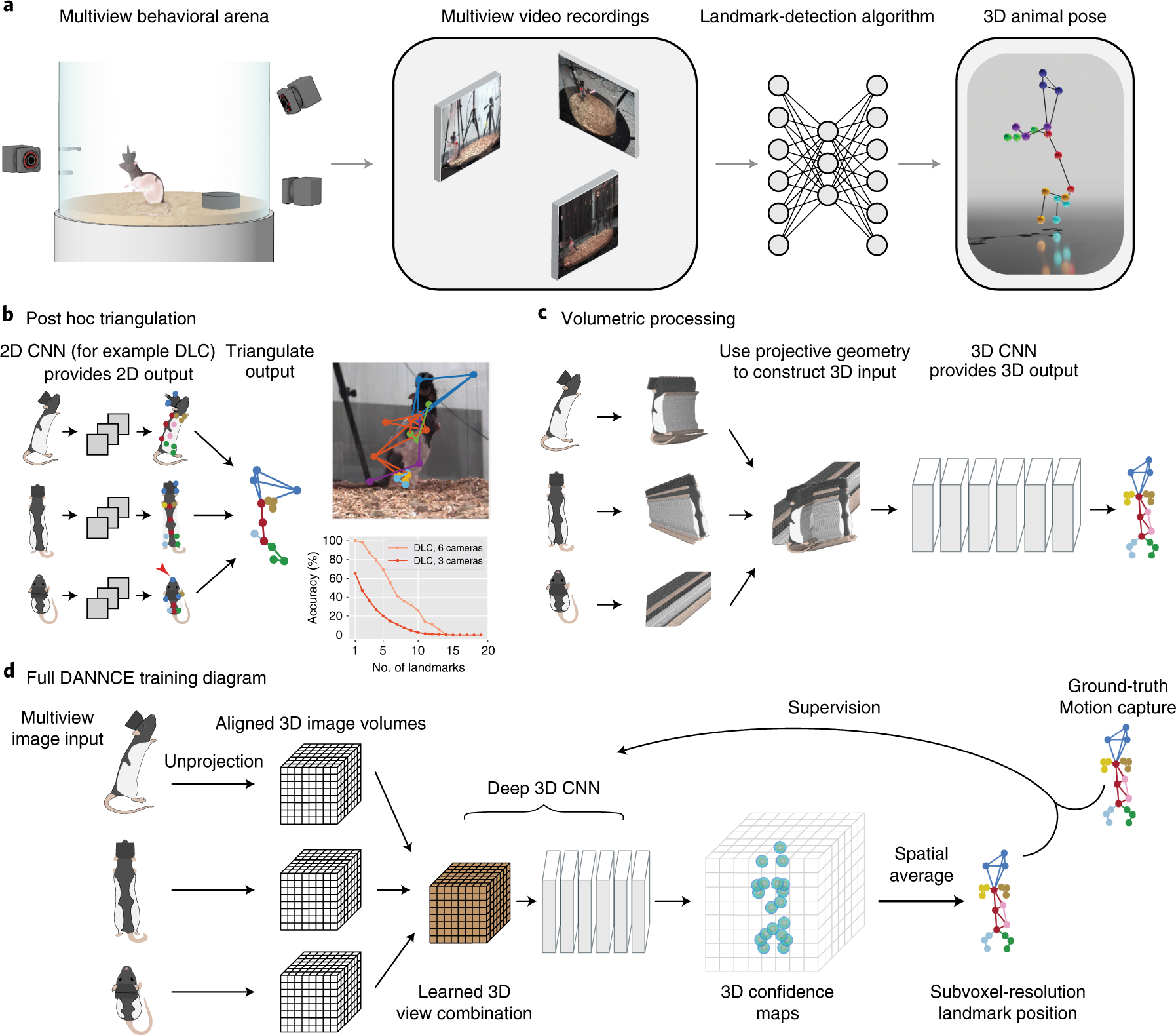 Geometric deep learning enables 3D kinematic profiling across species and  environments | Nature Methods