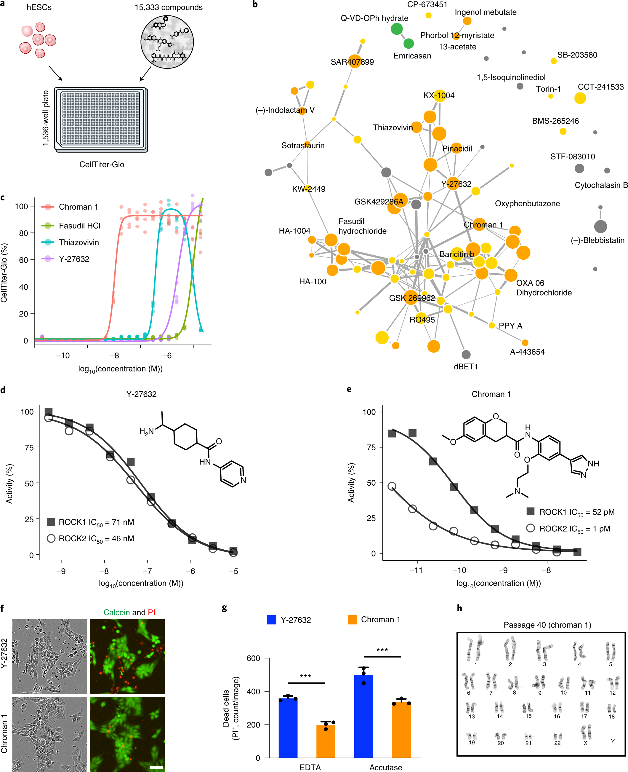 A Versatile Polypharmacology Platform Promotes Cytoprotection And Viability Of Human Pluripotent And Differentiated Cells Nature Methods
